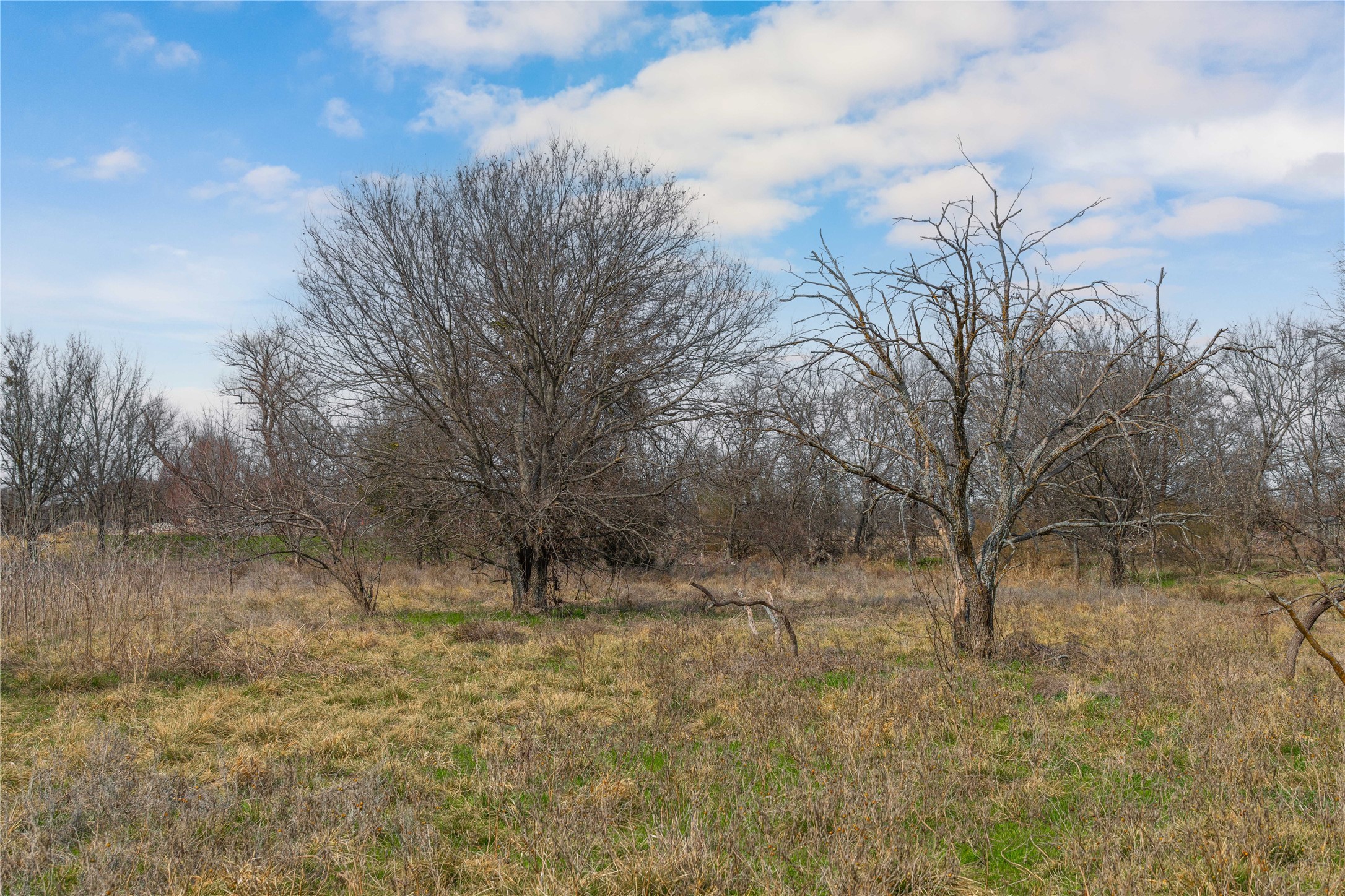 440 N Cato Street De Leon TX 76444