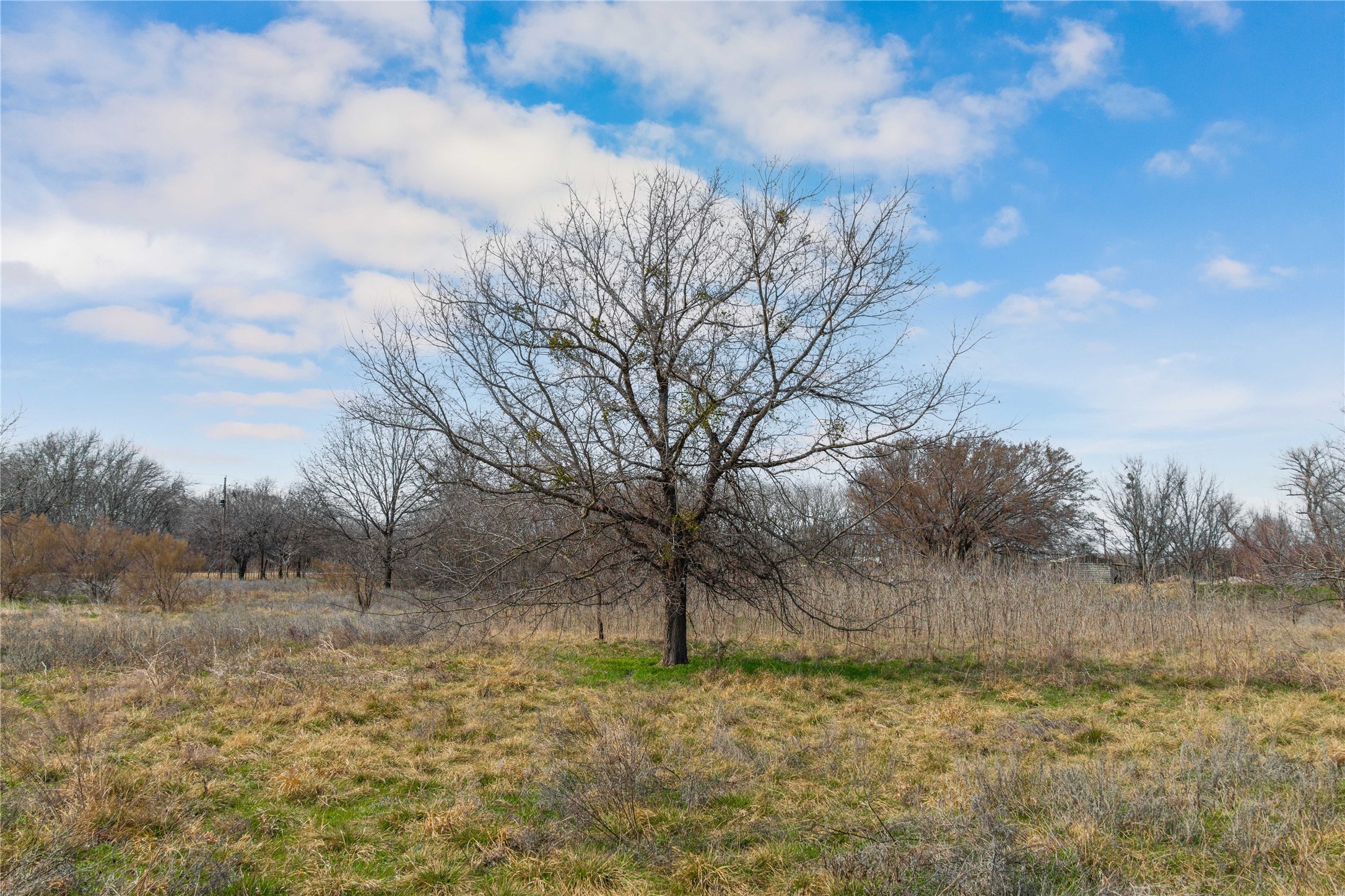 440 N Cato Street De Leon TX 76444
