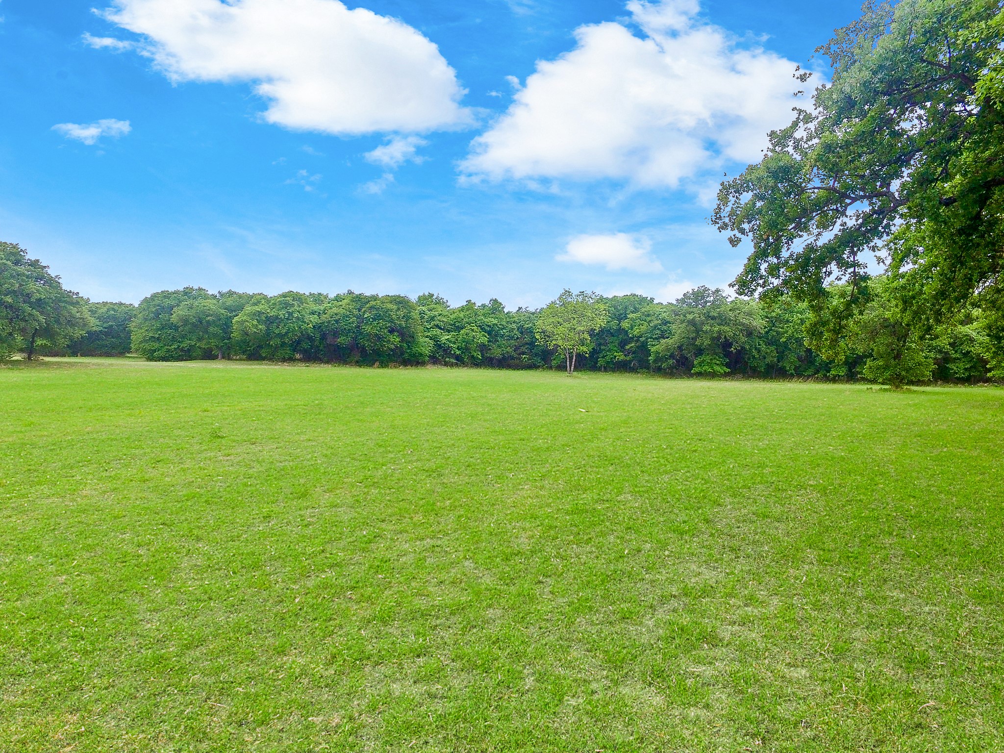 110 Private Road 2161 Iredell TX 76649