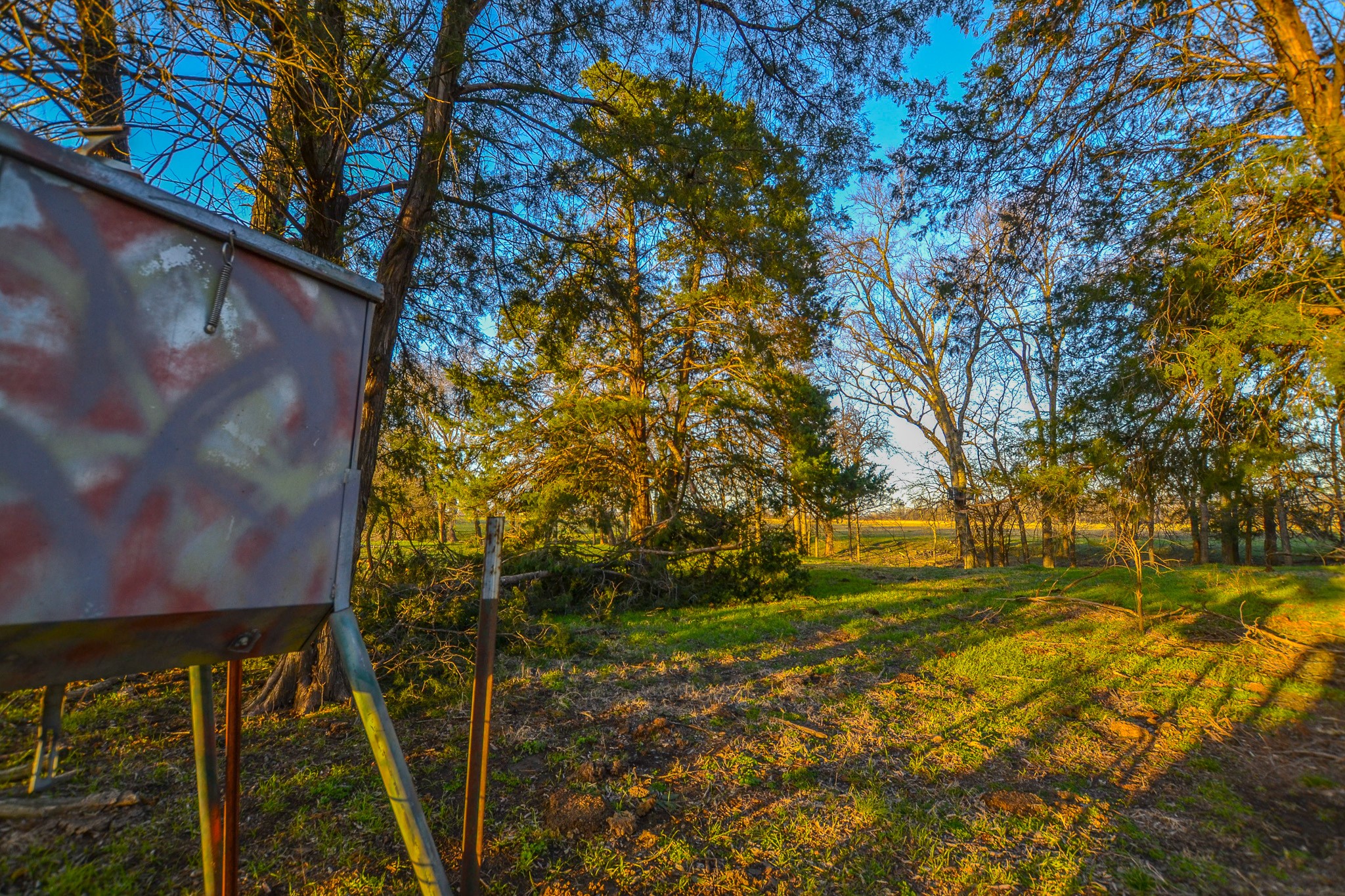 1392 E Us Highway 69 Point TX 75472
