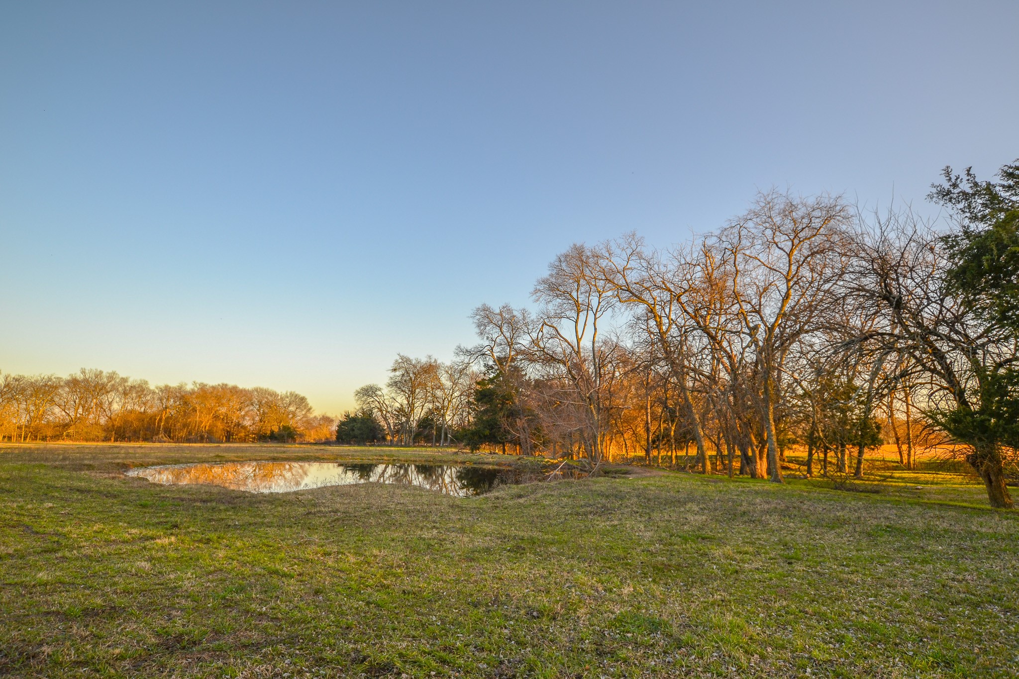 1392 E Us Highway 69 Point TX 75472