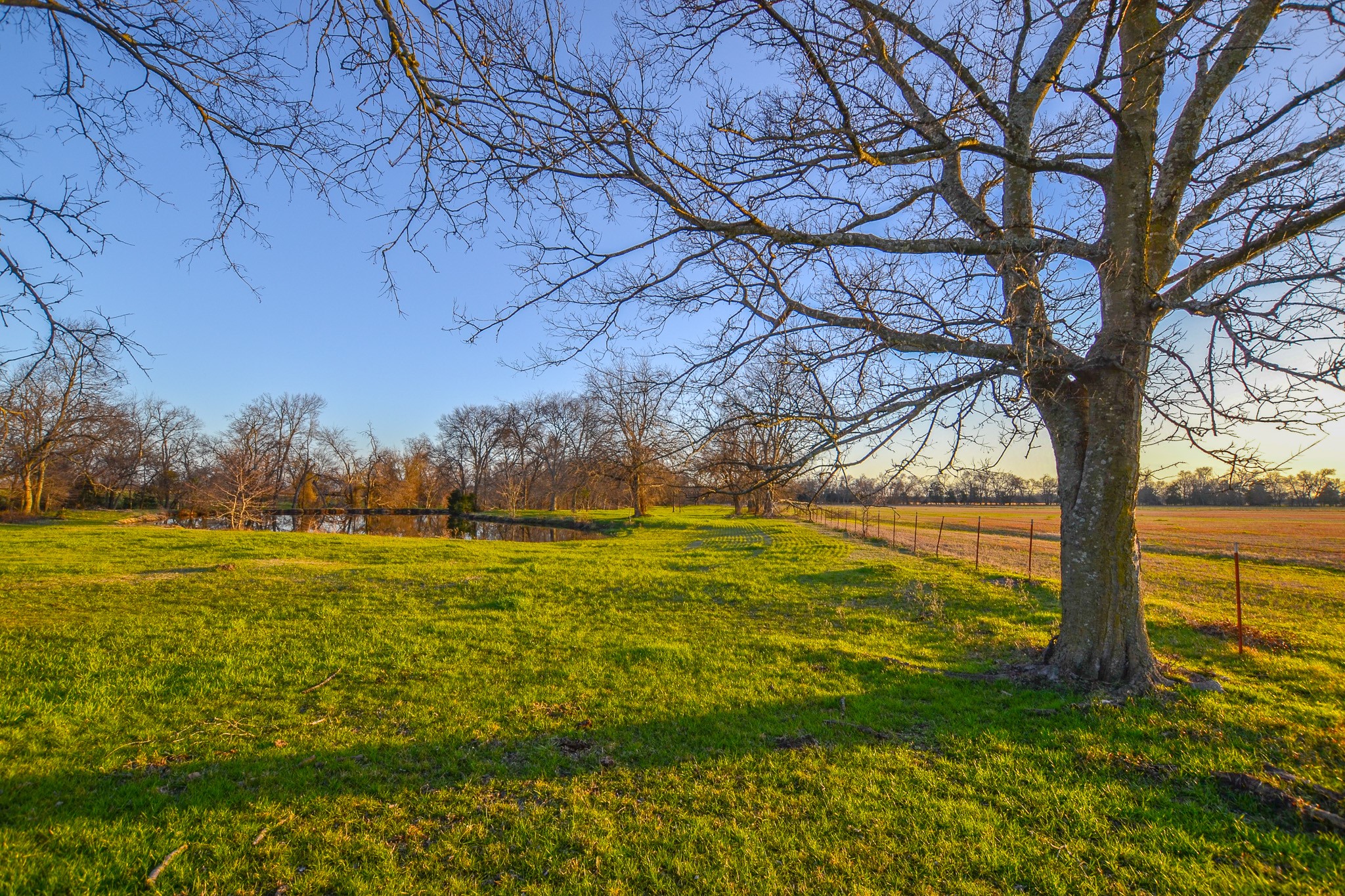 1392 E Us Highway 69 Point TX 75472