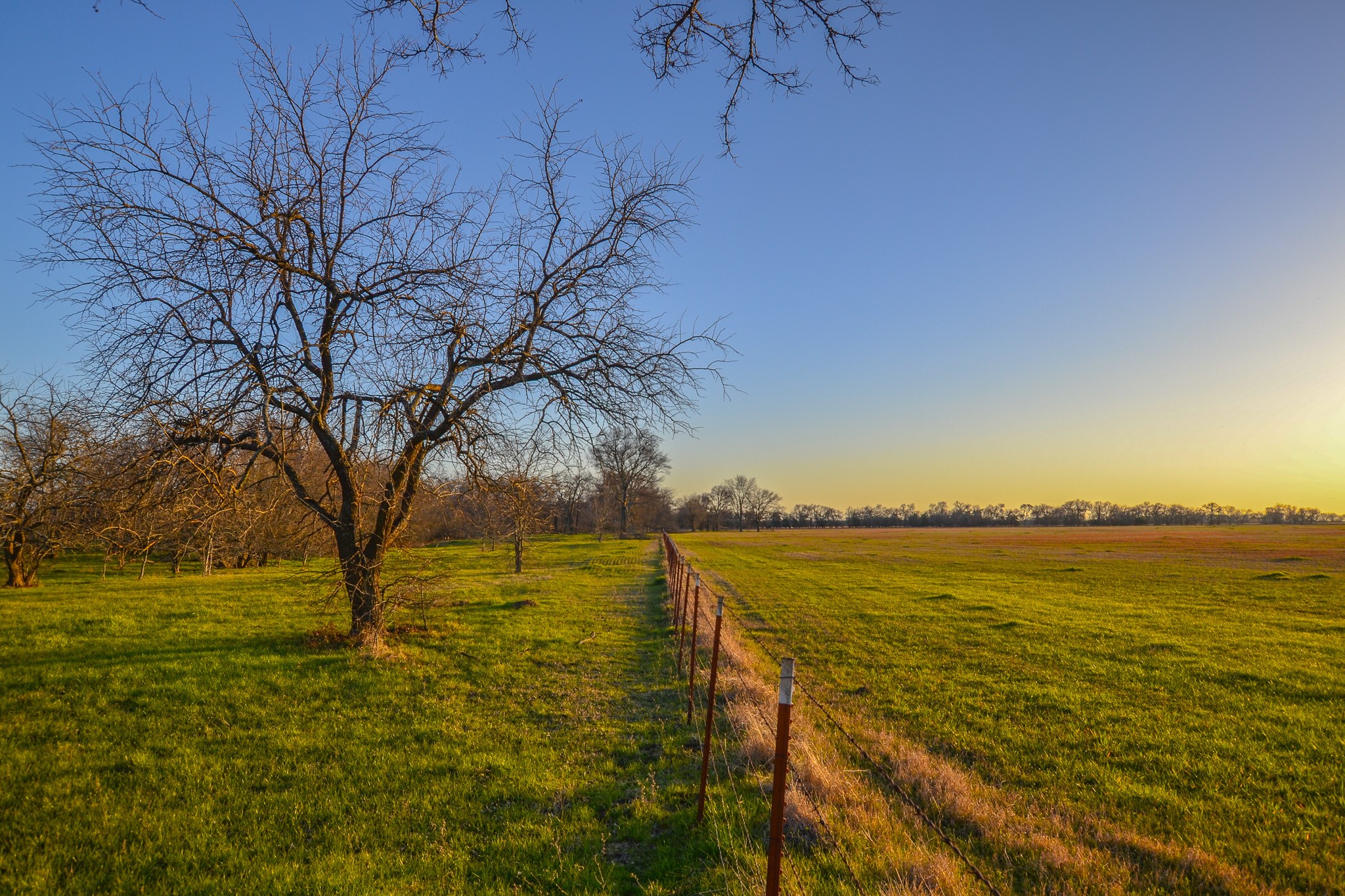 1392 E Us Highway 69 Point TX 75472