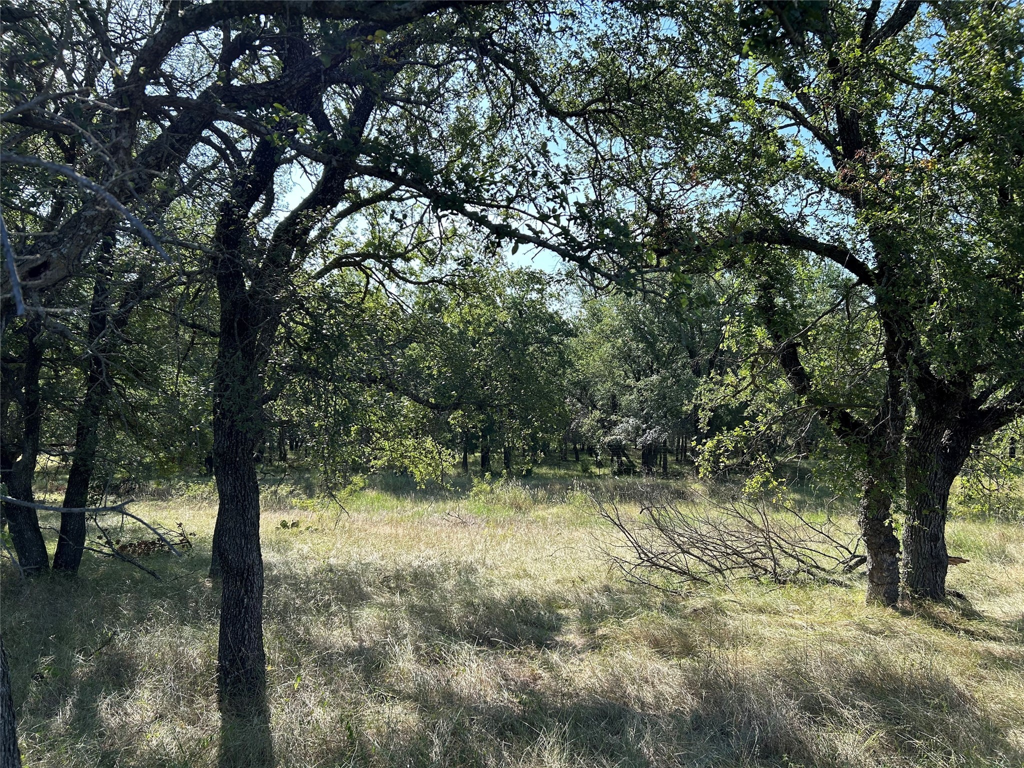 Tbd Pr-3414 Bridgeport TX 76426