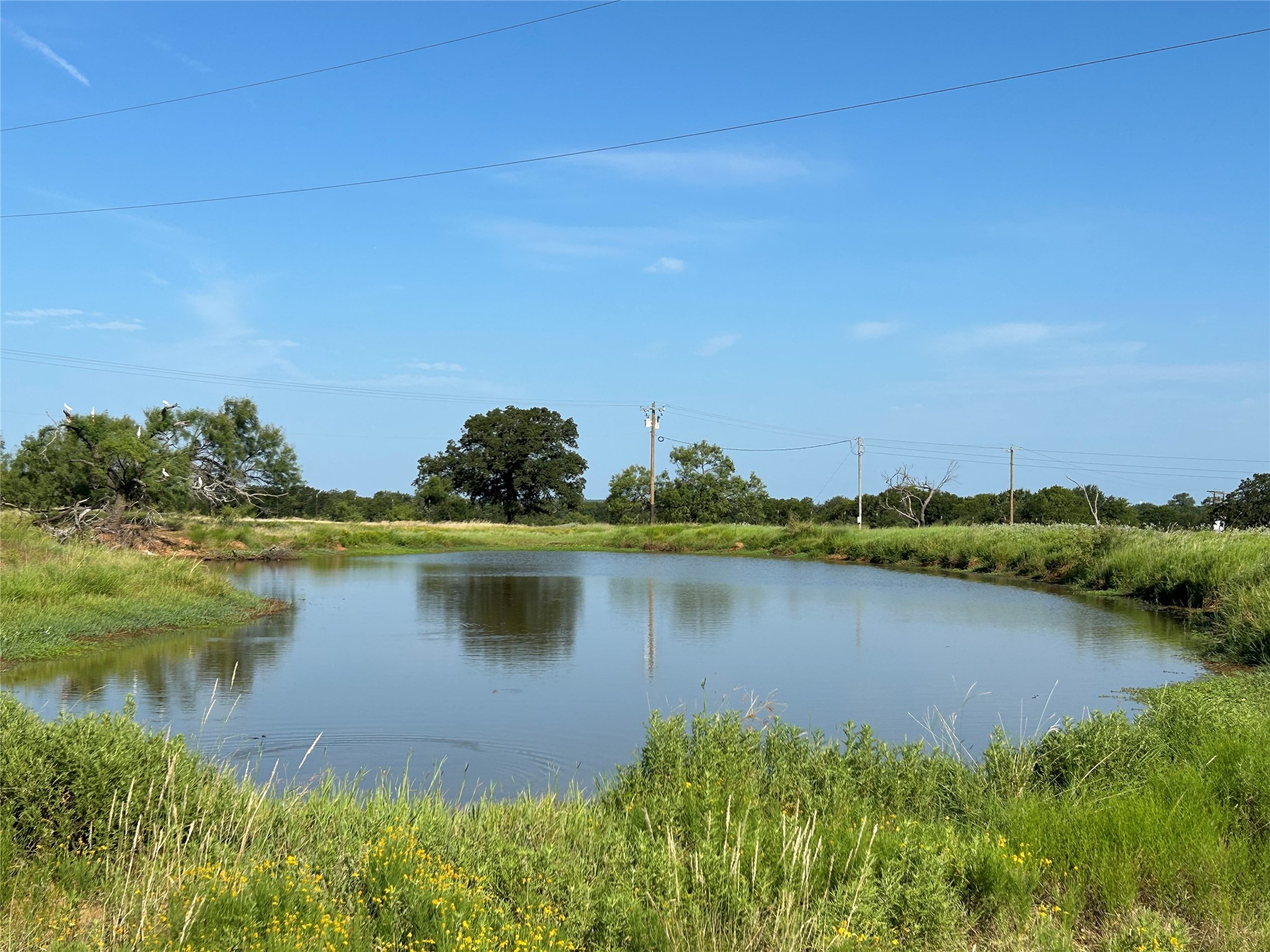 Tbd Pr-3414 Bridgeport TX 76426