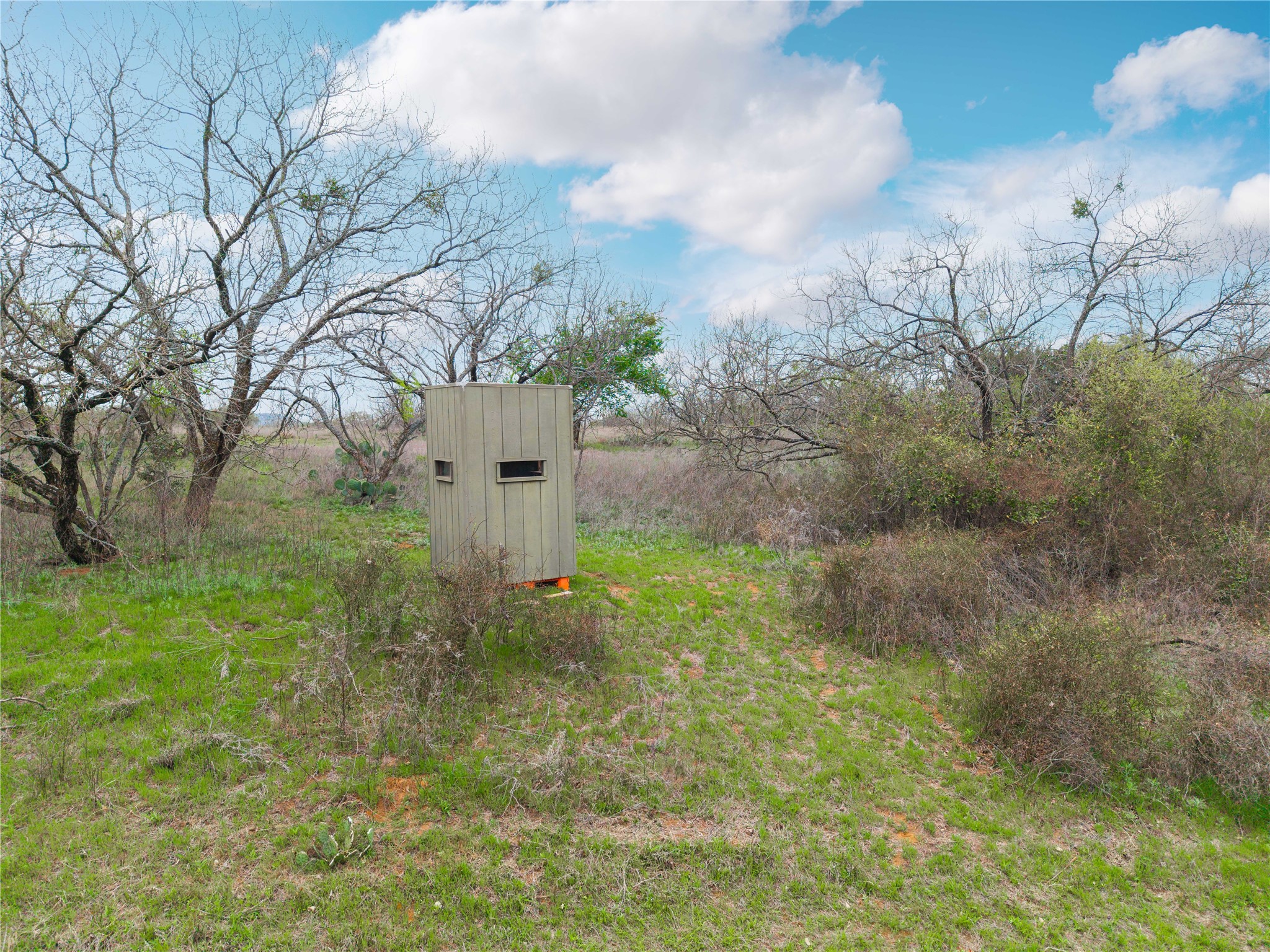 16820 County Road 429 Cross Plains TX 76443