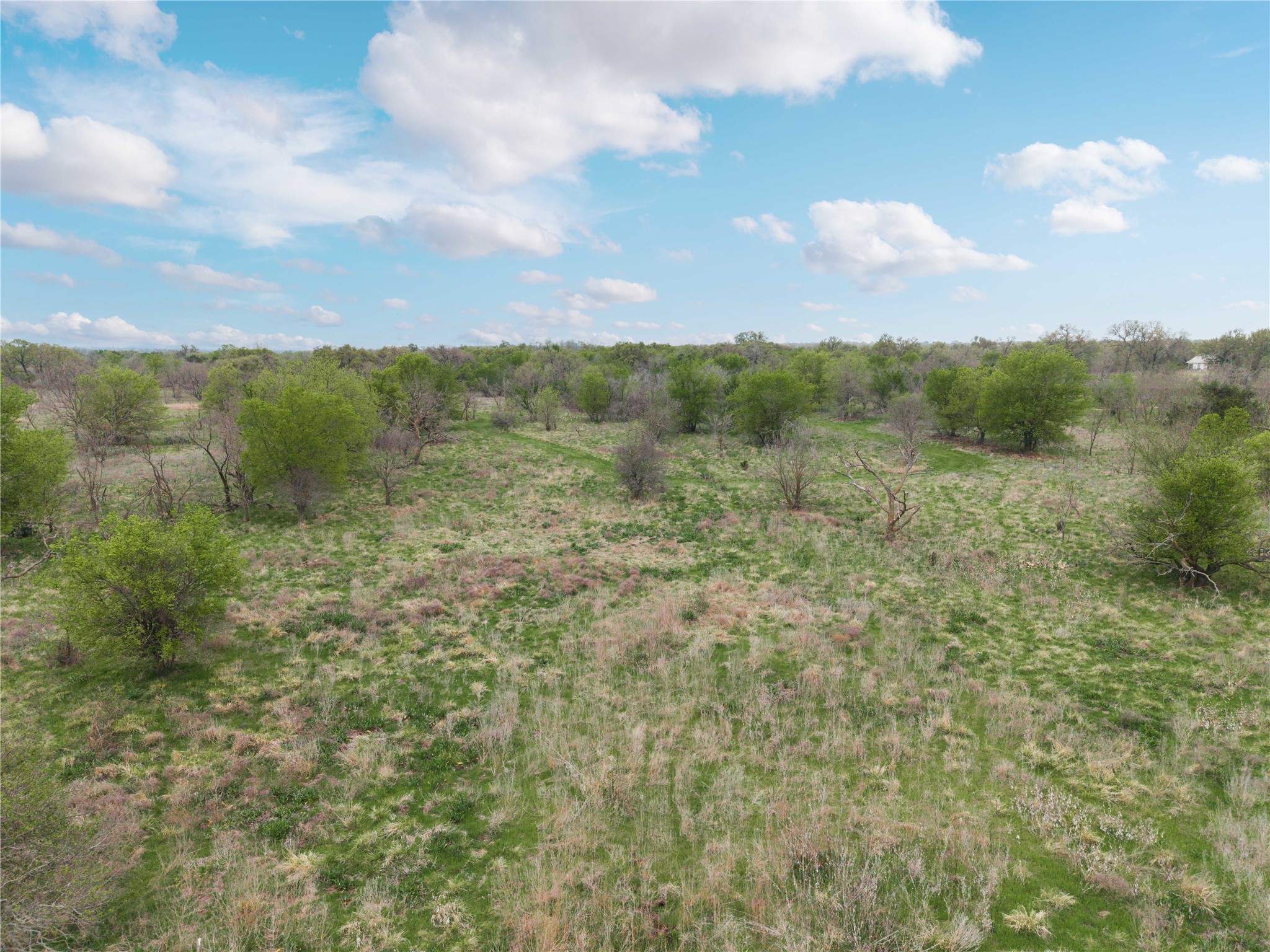 16820 County Road 429 Cross Plains TX 76443
