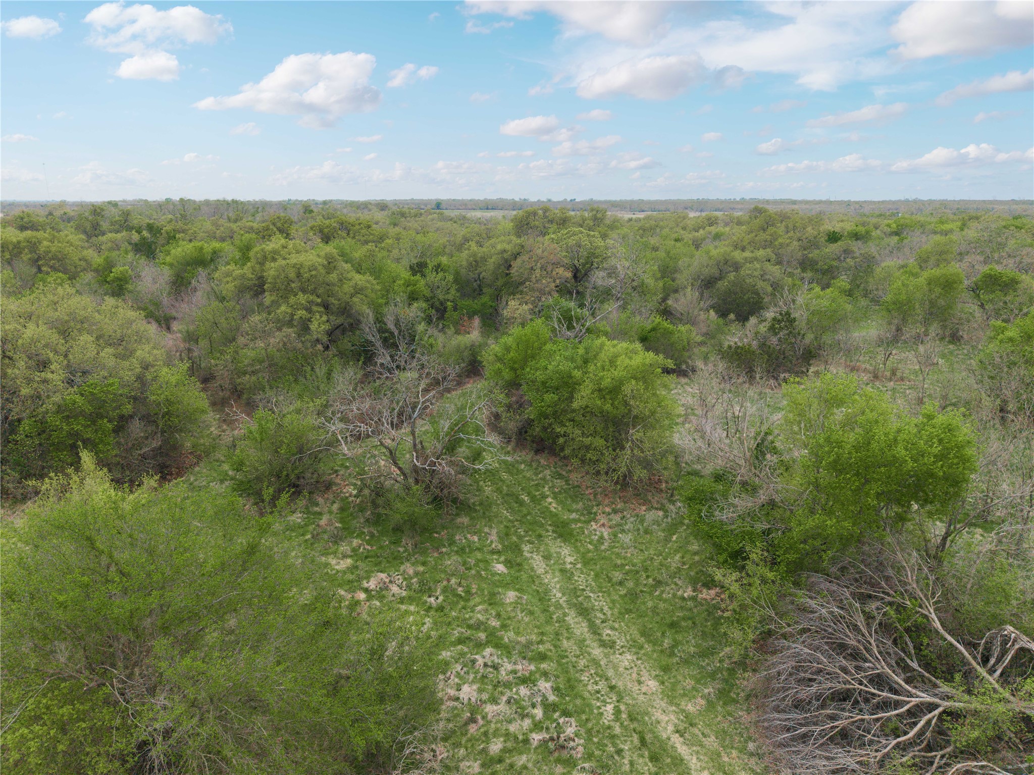 16820 County Road 429 Cross Plains TX 76443