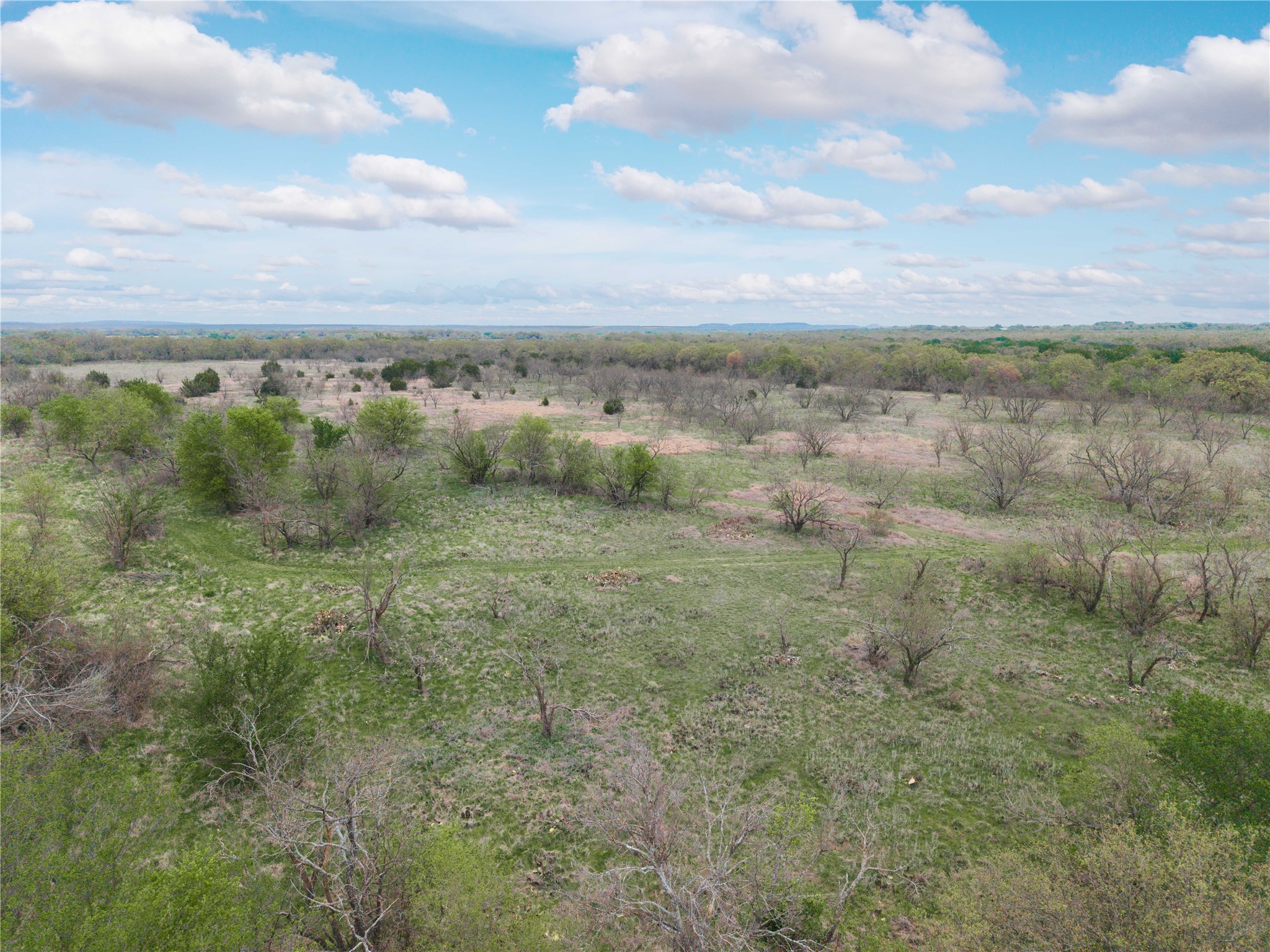 16820 County Road 429 Cross Plains TX 76443