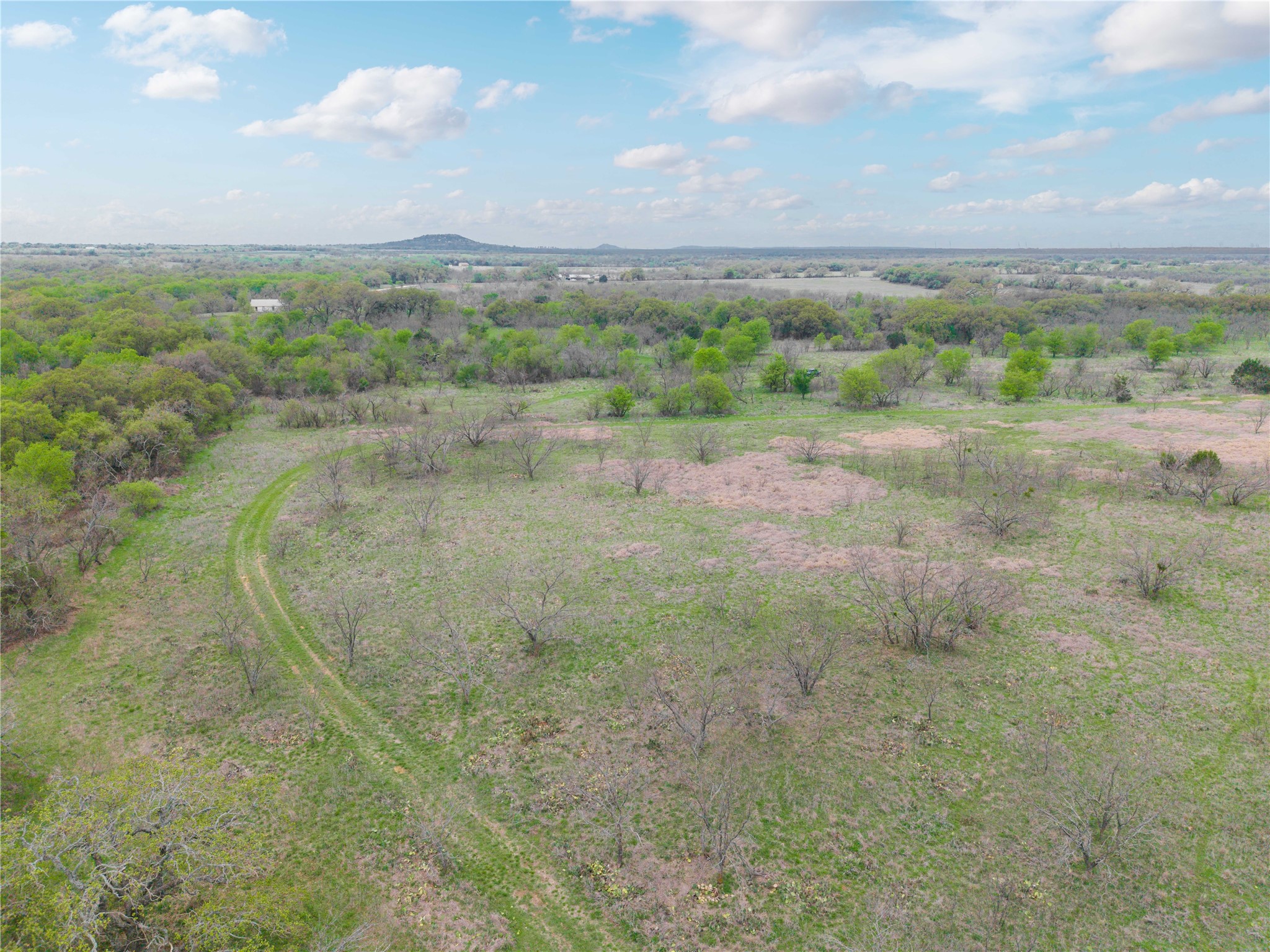 16820 County Road 429 Cross Plains TX 76443