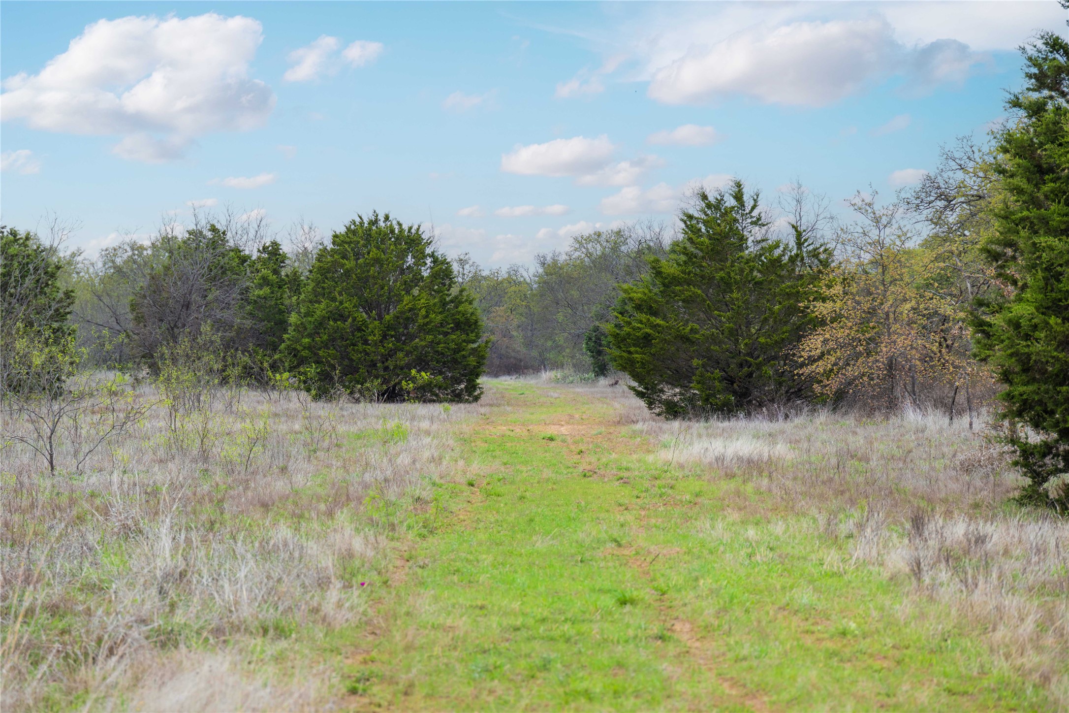 16820 County Road 429 Cross Plains TX 76443