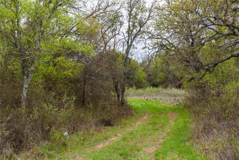 16820 County Road 429 Cross Plains TX 76443