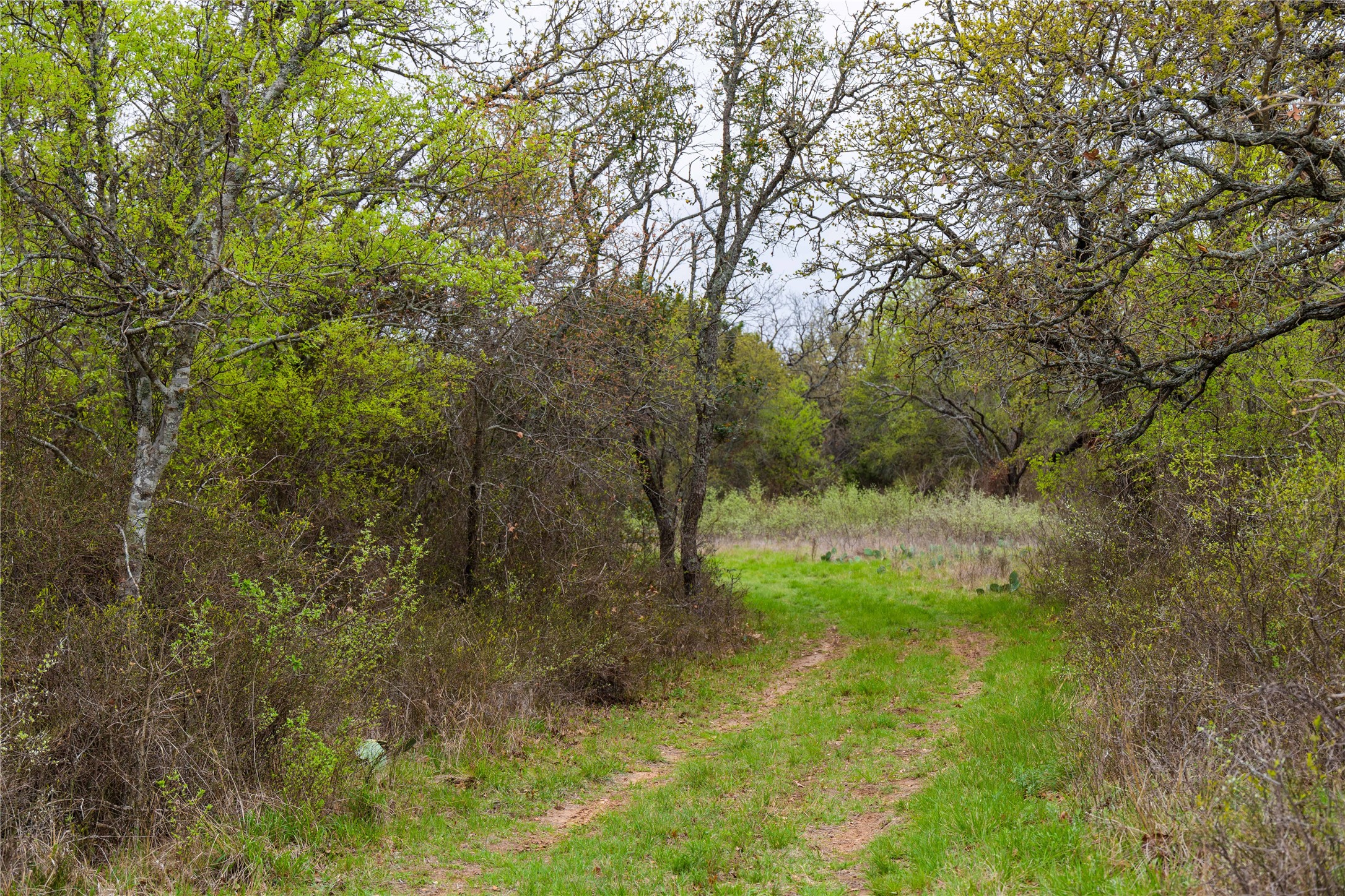 16820 County Road 429 Cross Plains TX 76443