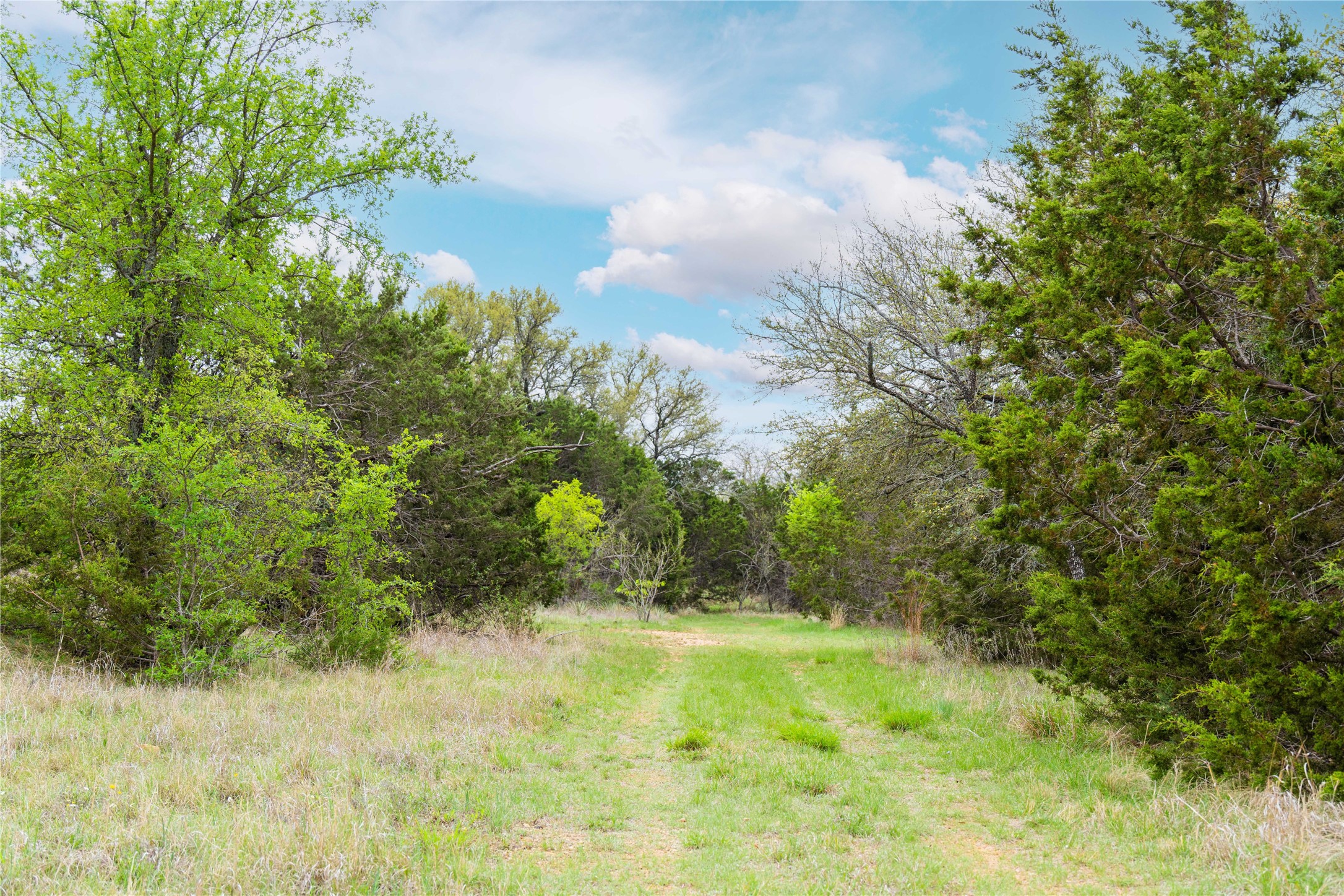 16820 County Road 429 Cross Plains TX 76443