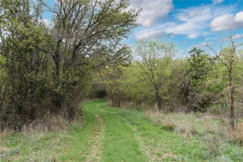 16820 County Road 429 Cross Plains TX 76443