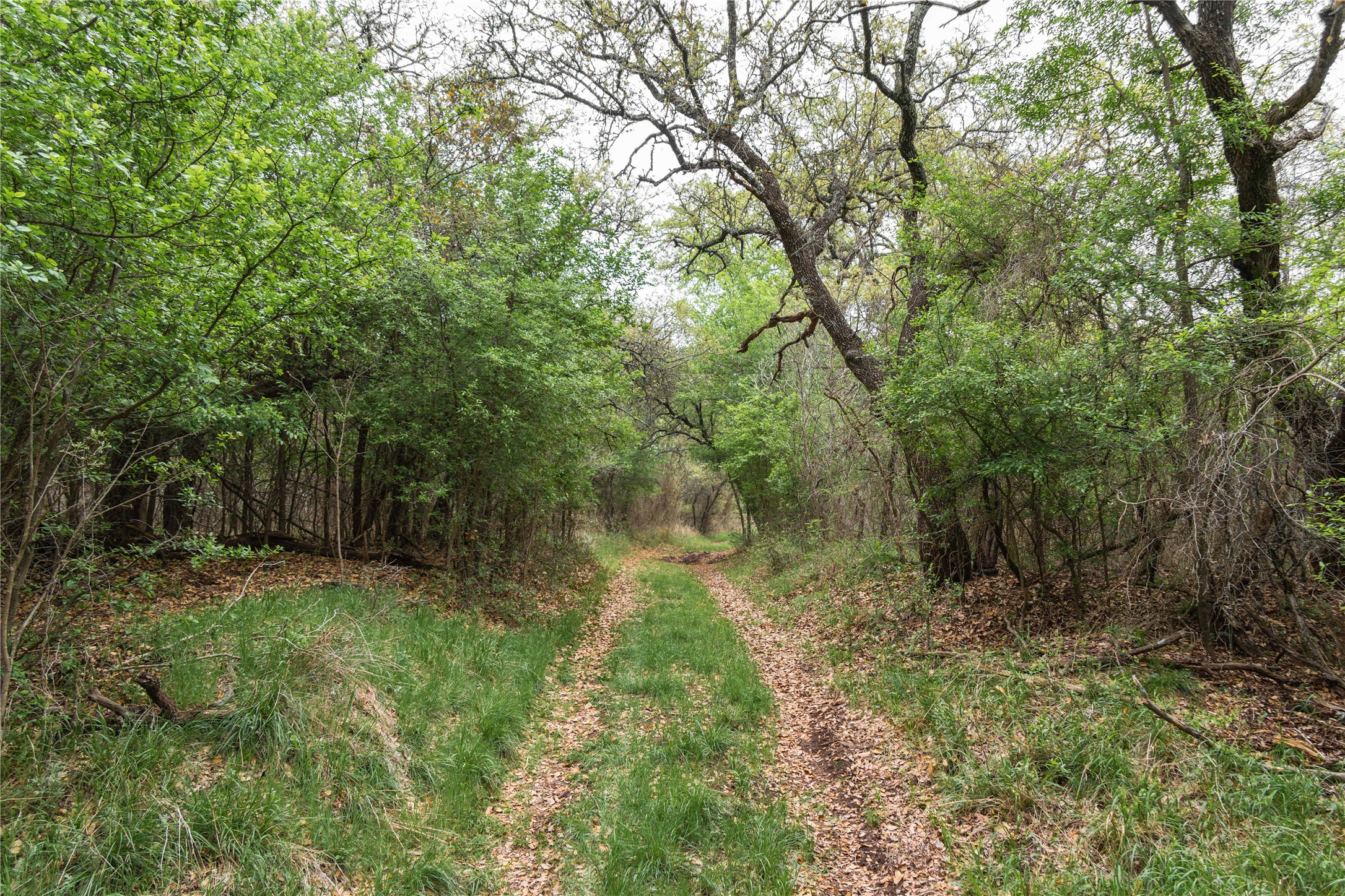 16820 County Road 429 Cross Plains TX 76443