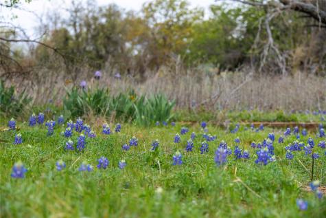 16820 County Road 429 Cross Plains TX 76443