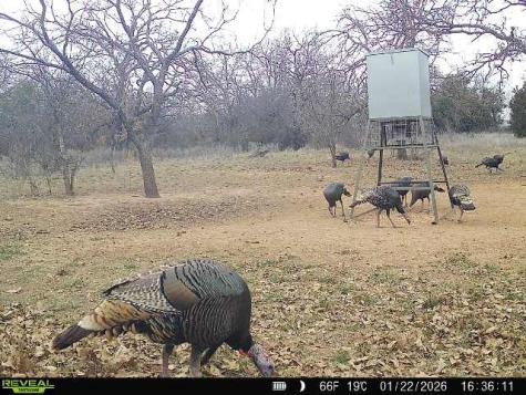 16820 County Road 429 Cross Plains TX 76443