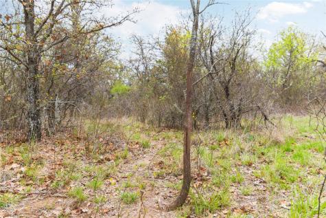 16820 County Road 429 Cross Plains TX 76443
