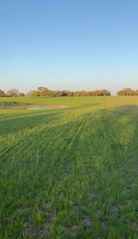 Lot 9 County Road 3420 Bridgeport TX 76426