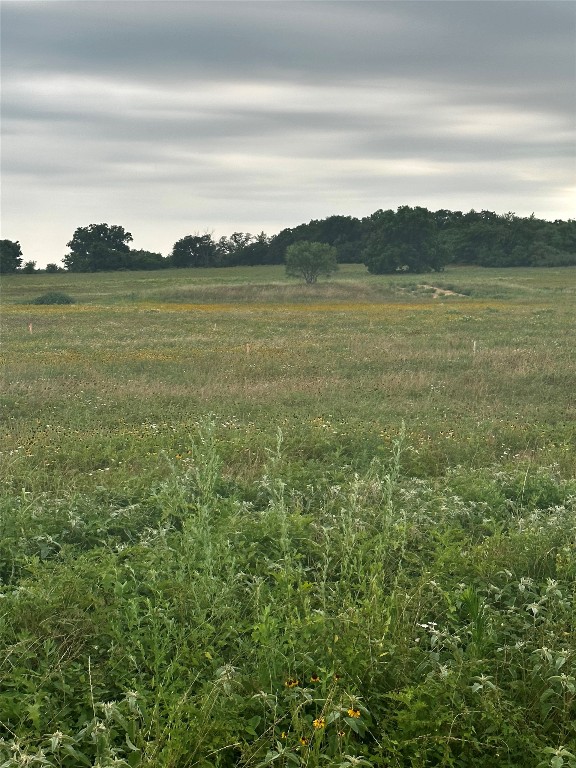 Lot 9 County Road 3420 Bridgeport TX 76426