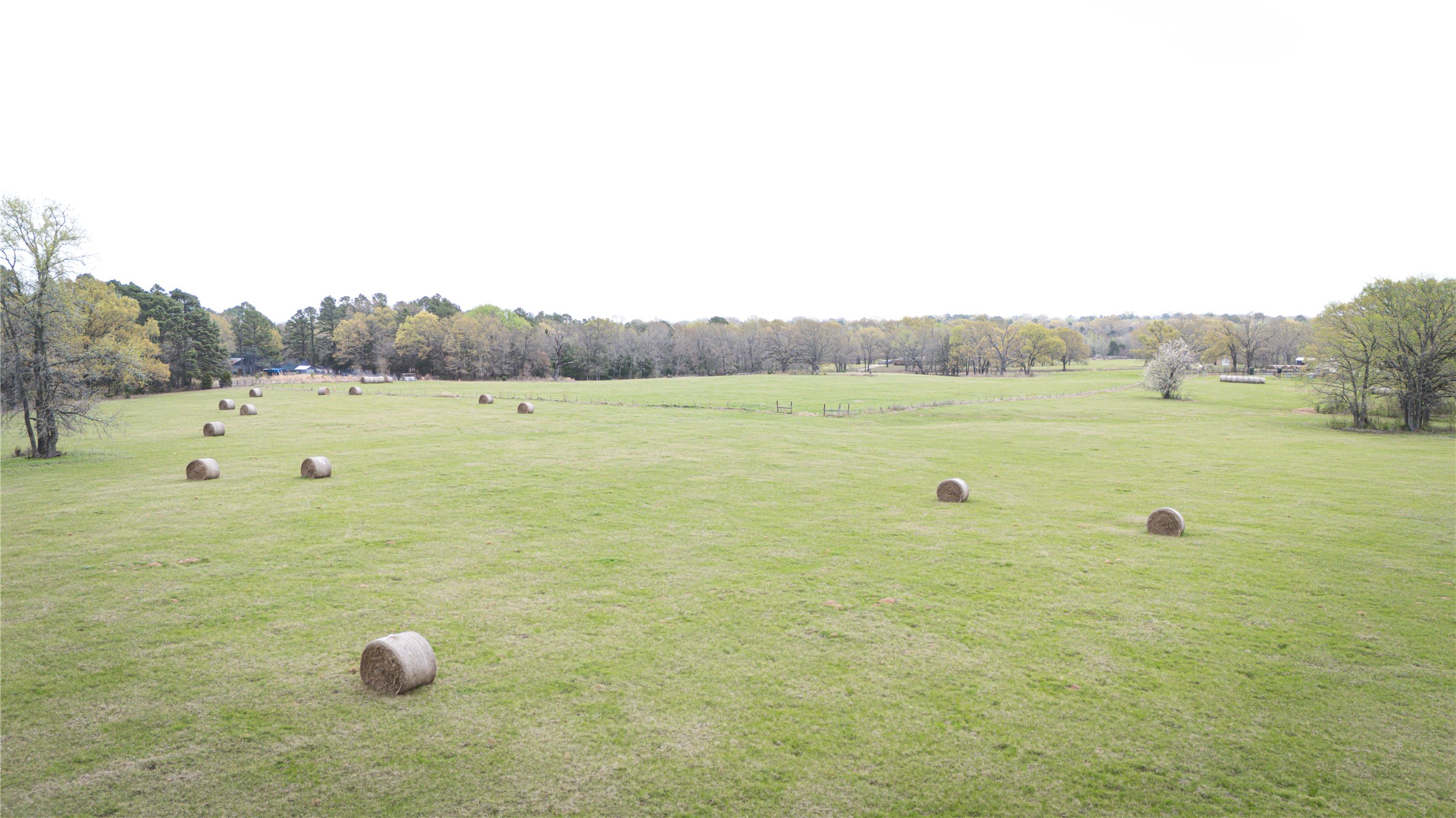 Tbd Fm 773 Murchison TX 75778