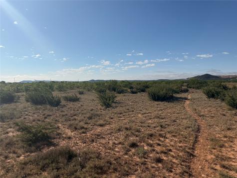58 acres TBD Cr 343 Merkel TX 79536