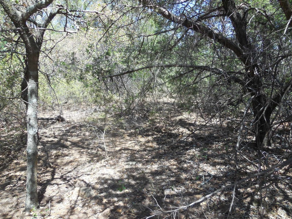 Tbd 10 Acres Cr 136 Ranger TX 76470