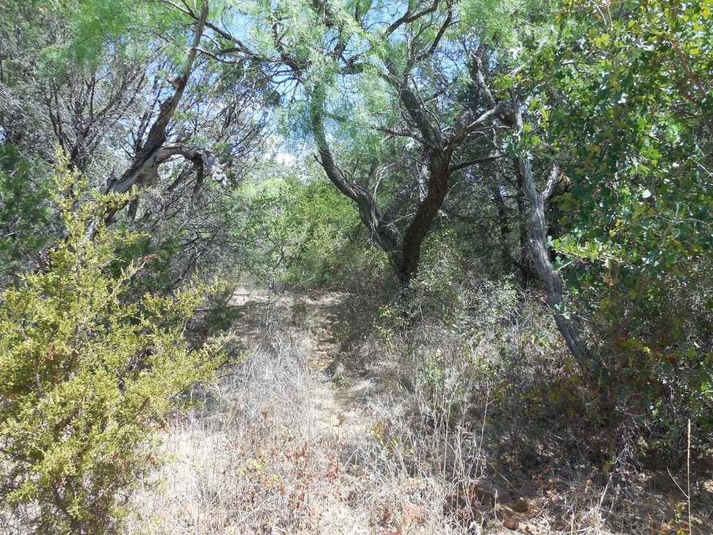 Tbd 10 Acres Cr 136 Ranger TX 76470