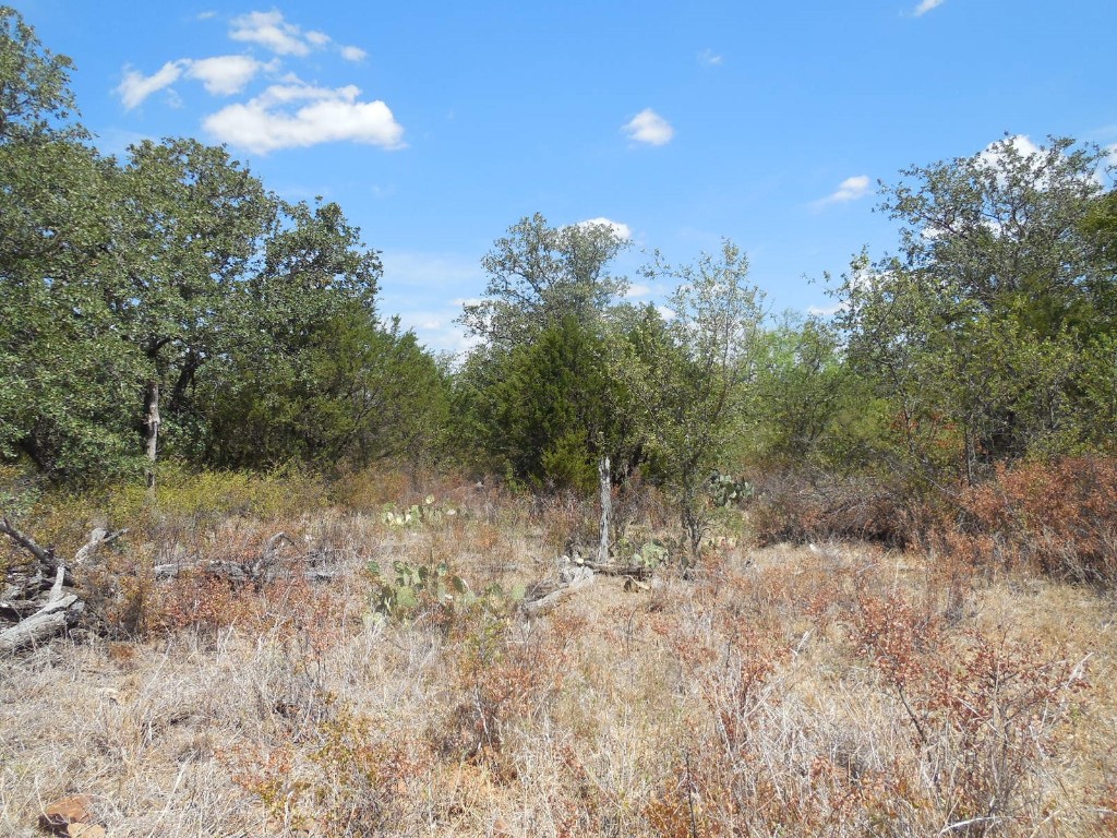 Tbd 10 Acres Cr 136 Ranger TX 76470