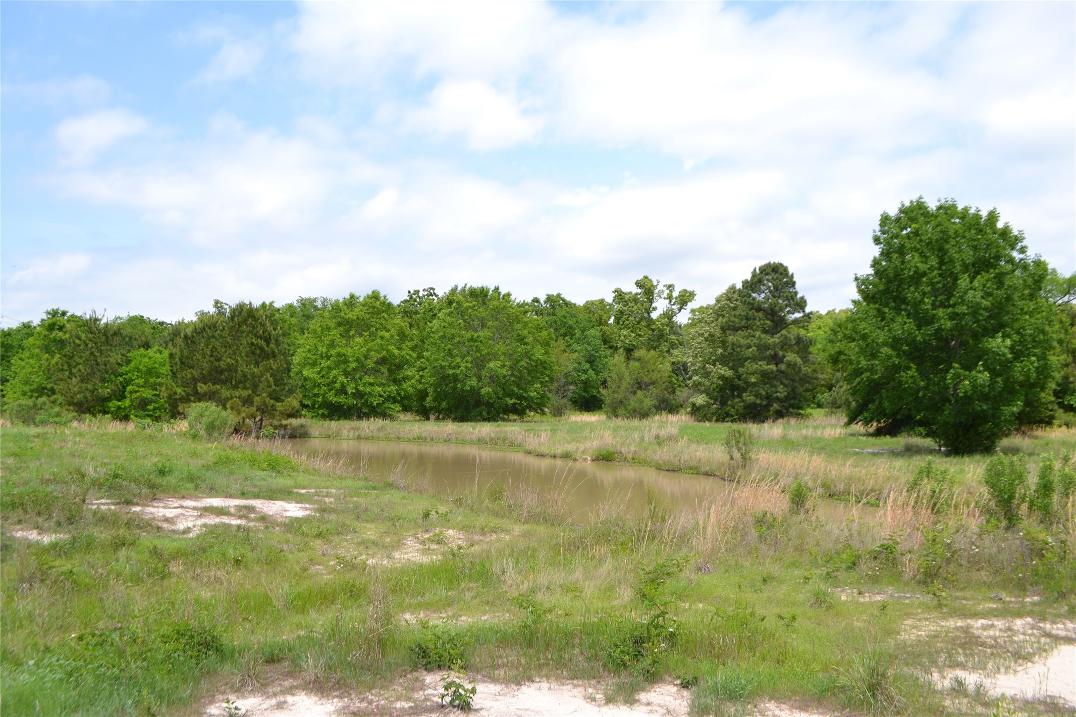 Tbd S Highway 69 Alba TX 75410