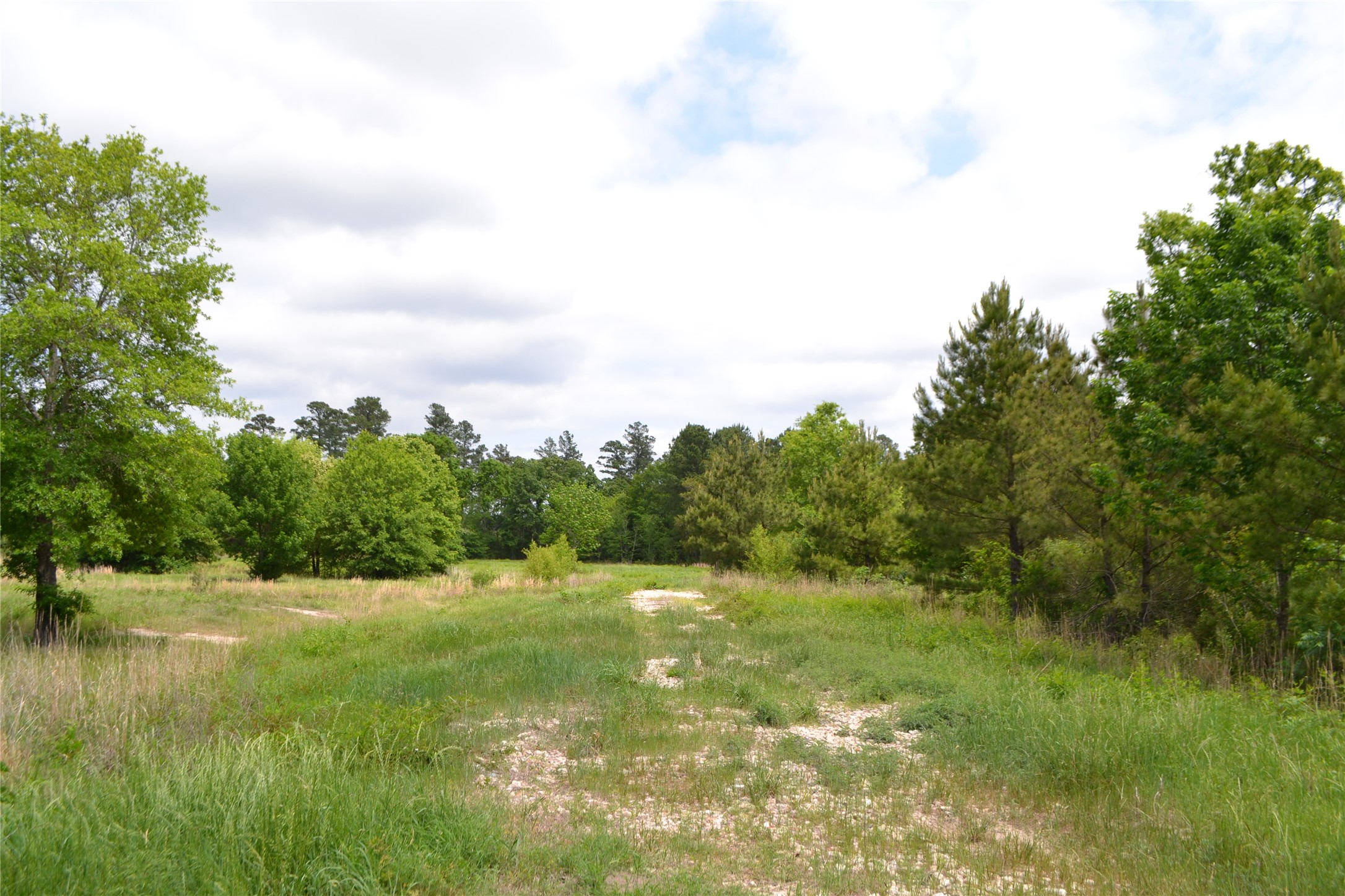 Tbd S Highway 69 Alba TX 75410