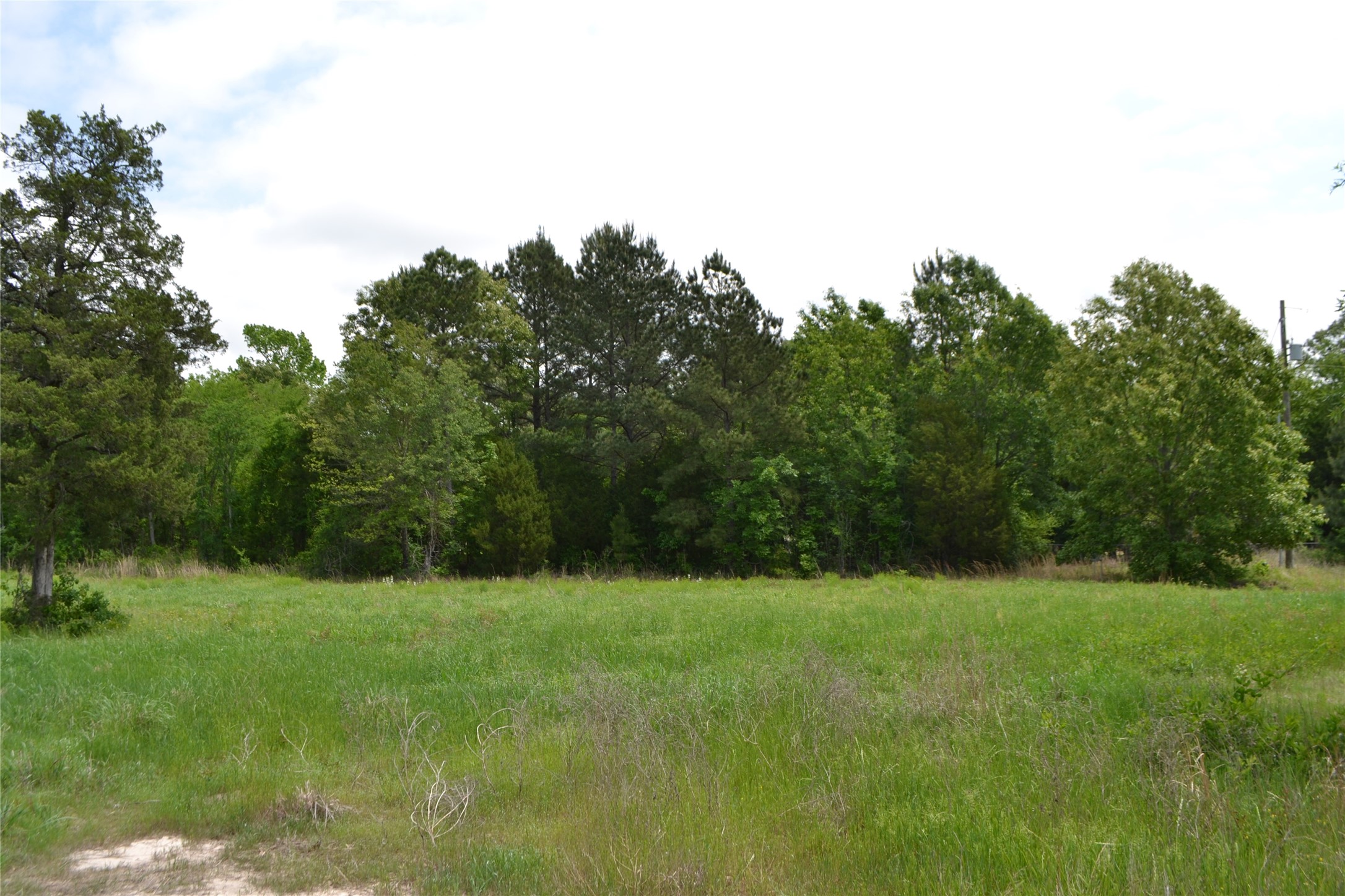 Tbd S Highway 69 Alba TX 75410