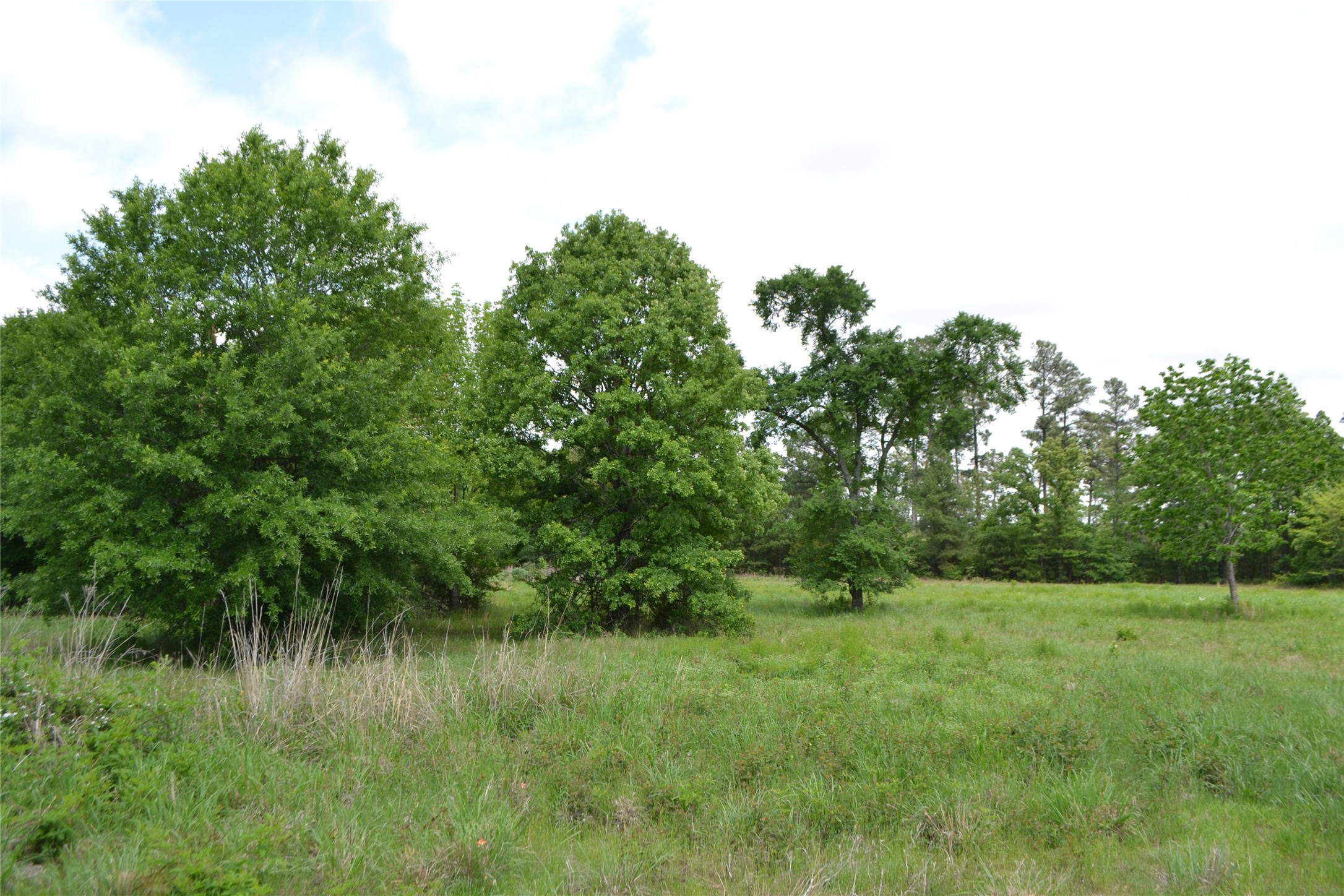 Tbd S Highway 69 Alba TX 75410