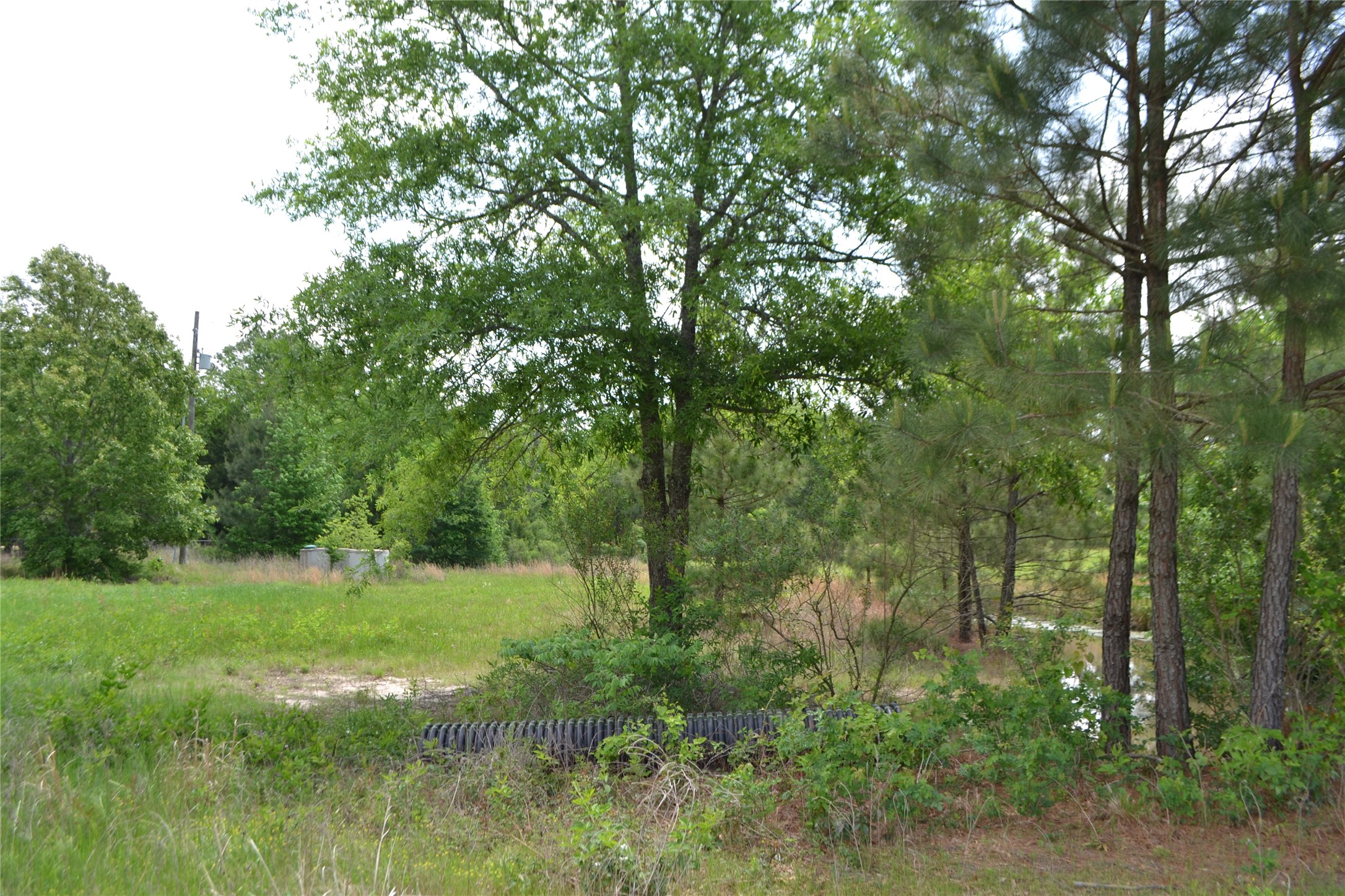 Tbd S Highway 69 Alba TX 75410