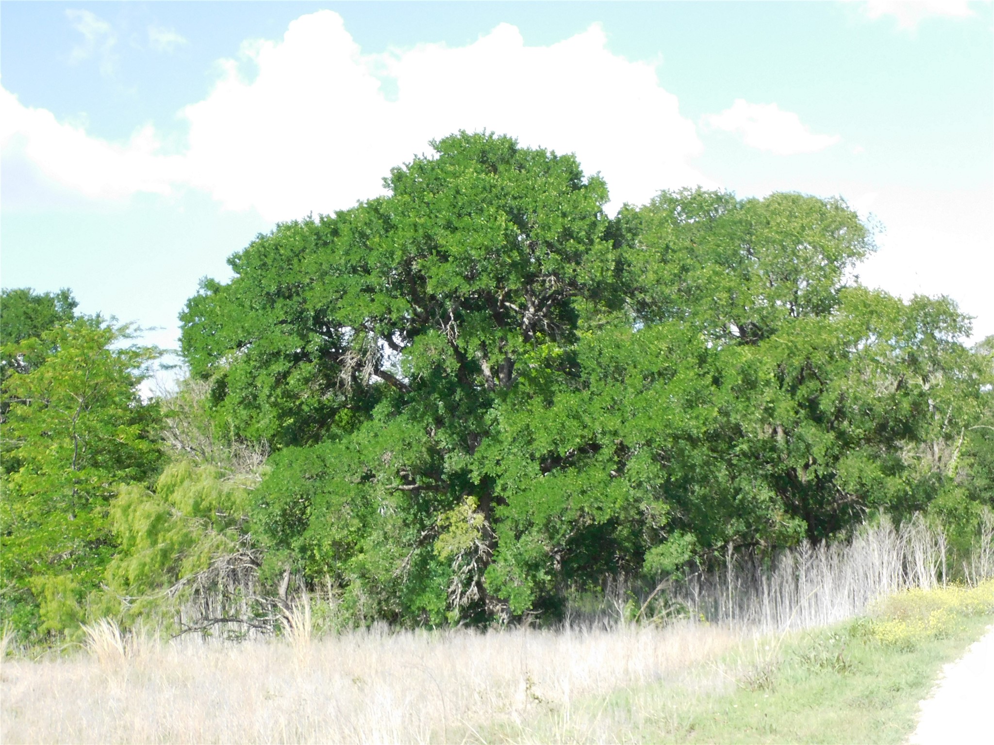 117 Pr 354 N Hubbard TX 76648