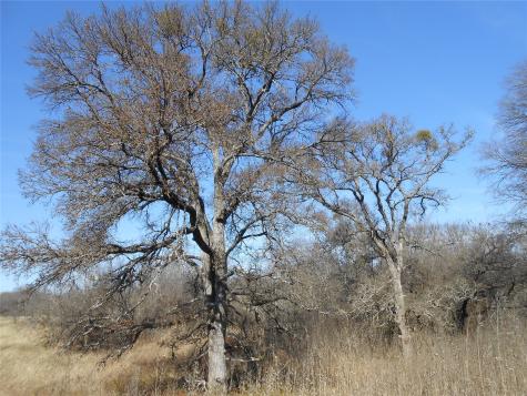 117 Pr 354 N Hubbard TX 76648