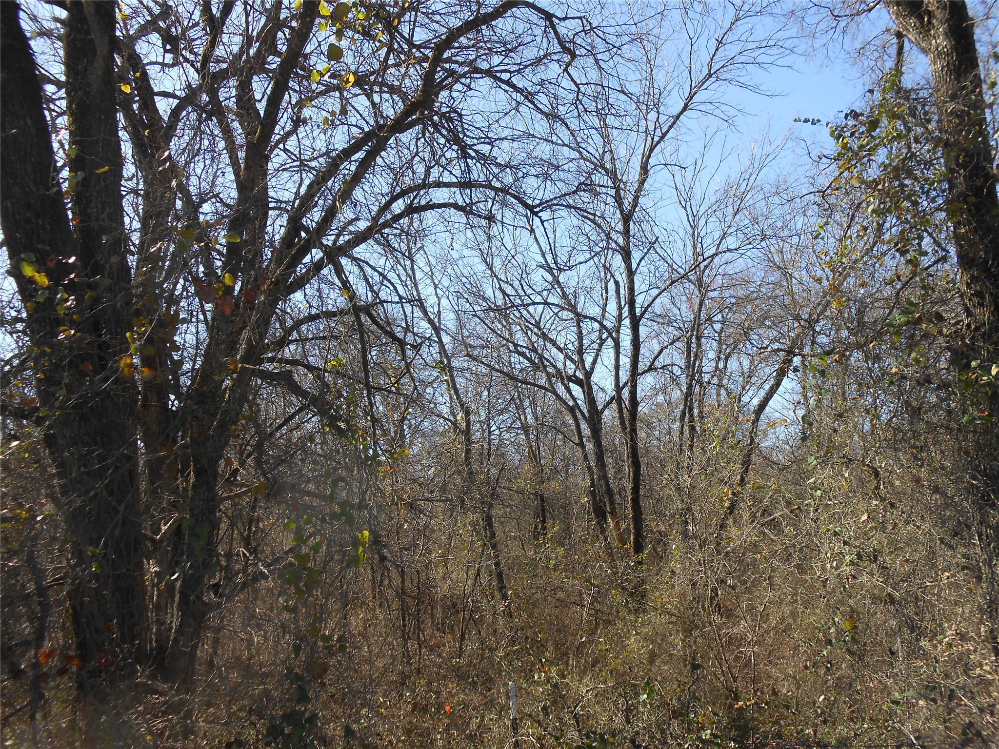 117 Pr 354 N Hubbard TX 76648
