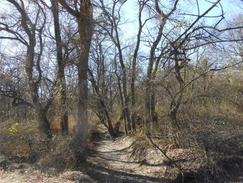 117 Pr 354 N Hubbard TX 76648