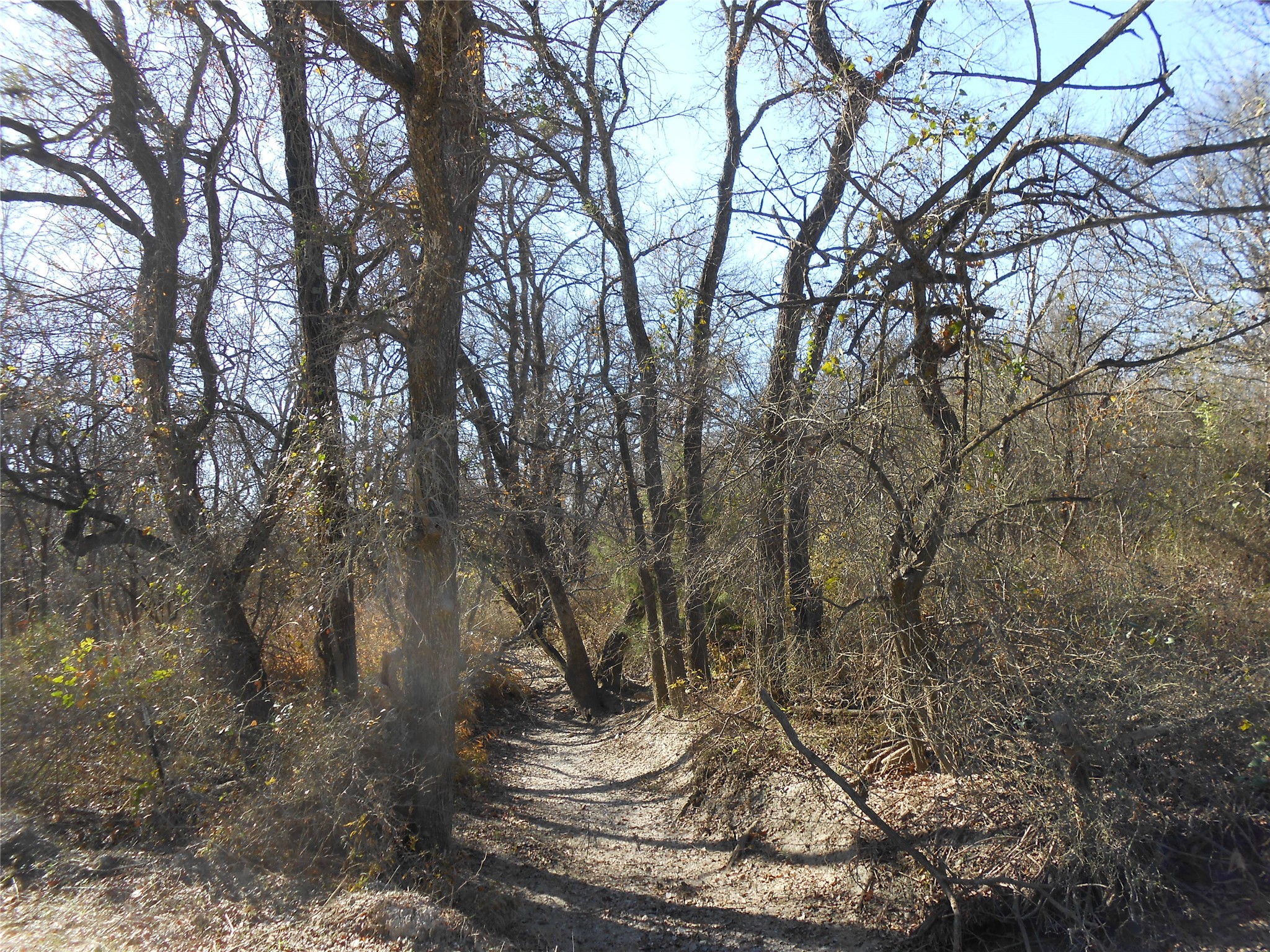 117 Pr 354 N Hubbard TX 76648