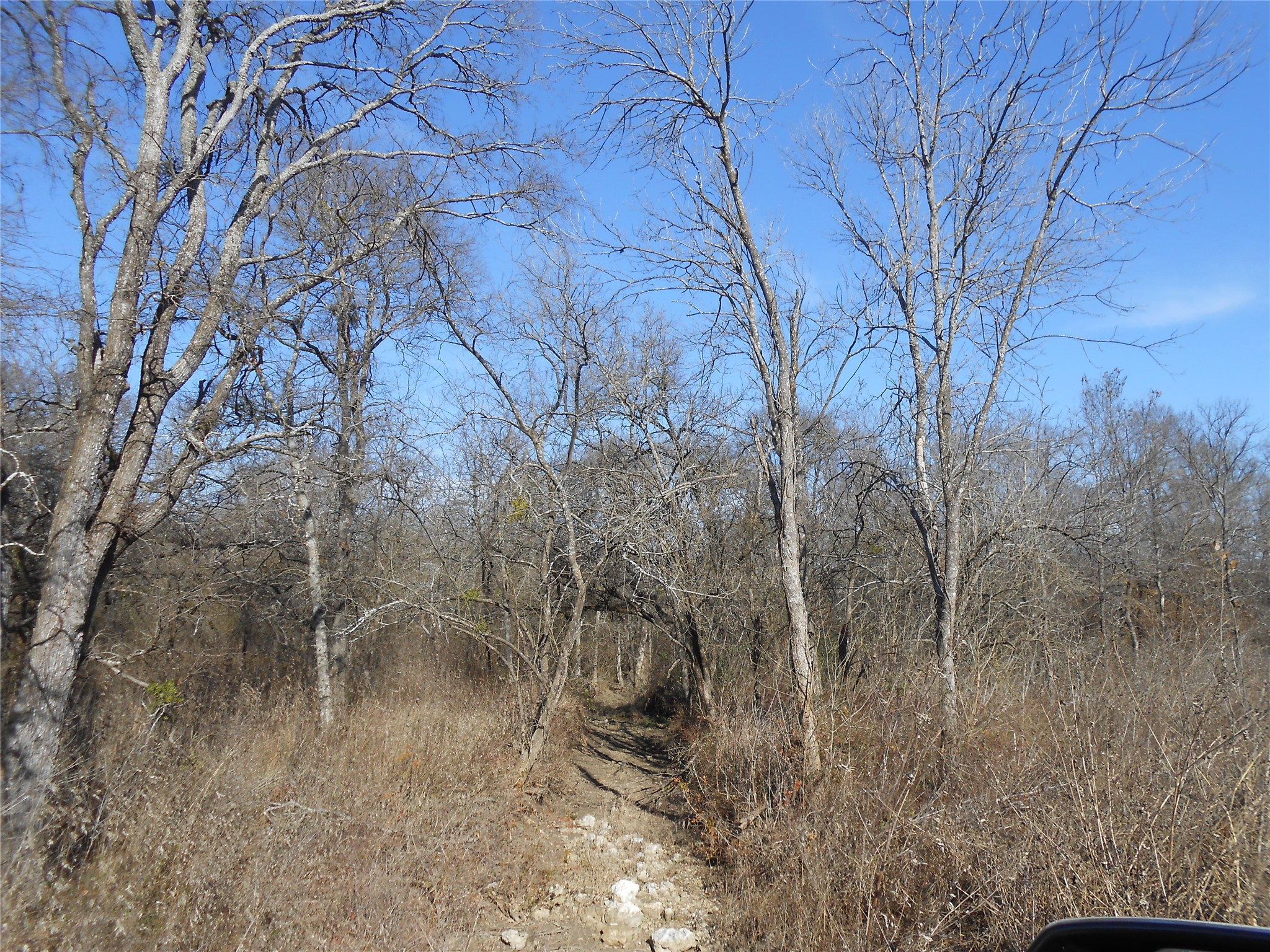 117 Pr 354 N Hubbard TX 76648