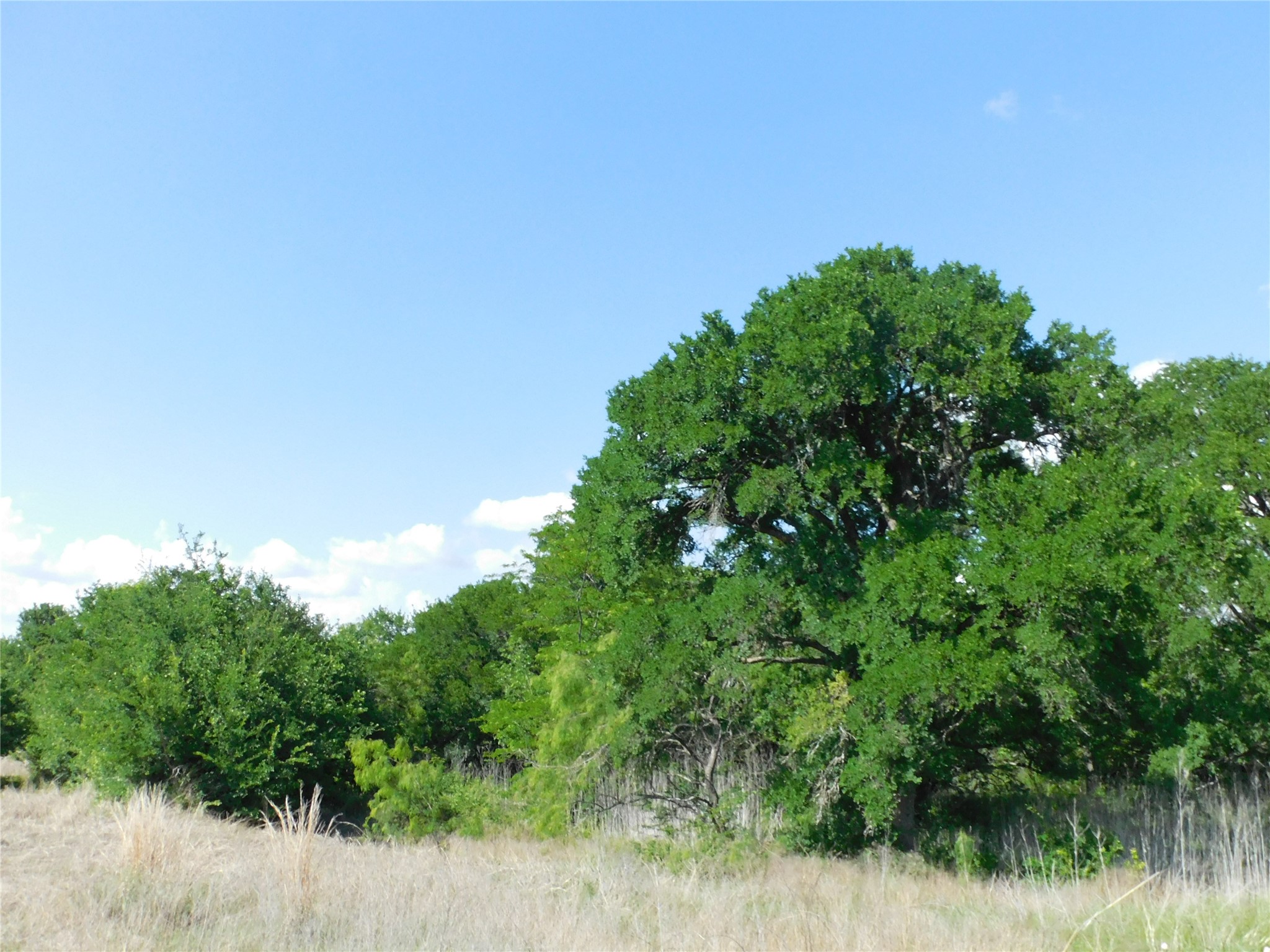 117 Pr 354 N Hubbard TX 76648
