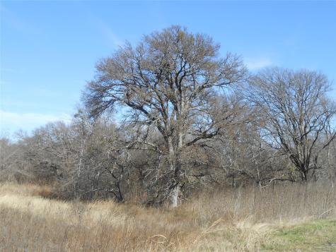 117 Pr 354 N Hubbard TX 76648