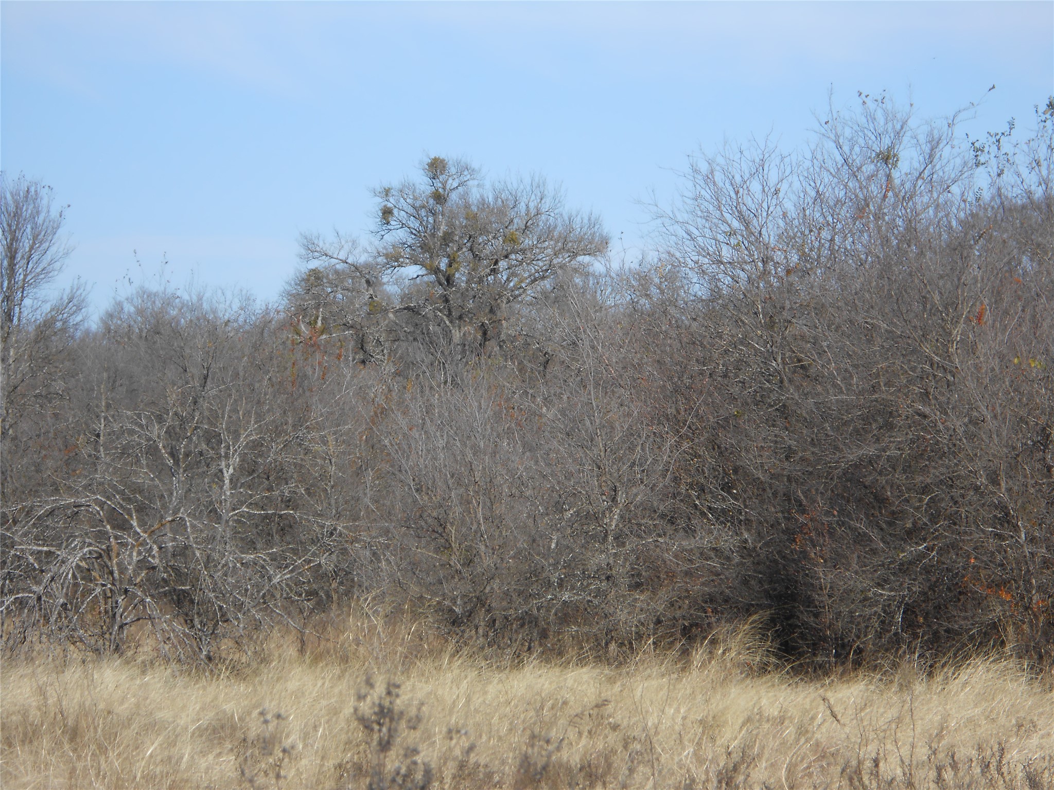117 Pr 354 N Hubbard TX 76648