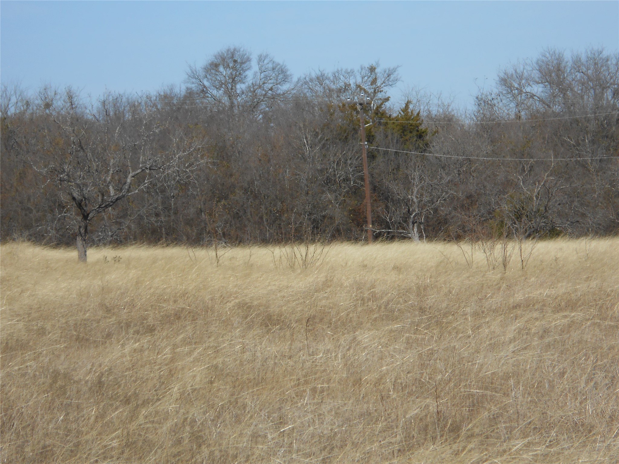 117 Pr 354 N Hubbard TX 76648