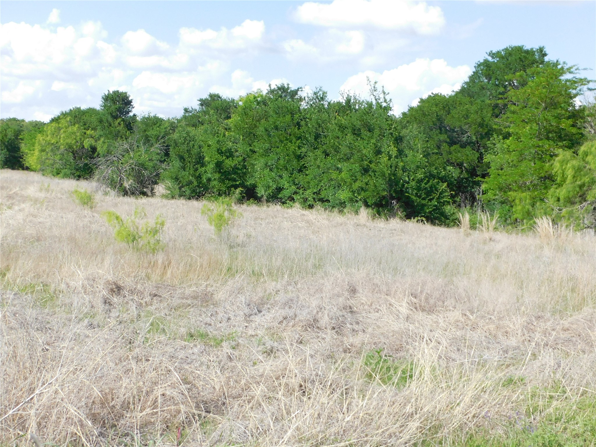 117 Pr 354 N Hubbard TX 76648