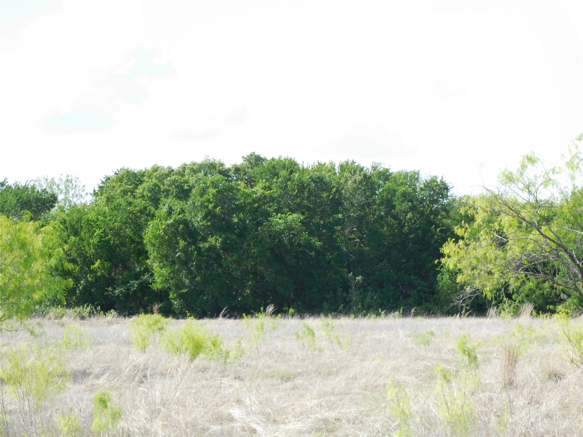 117 Pr 354 N Hubbard TX 76648