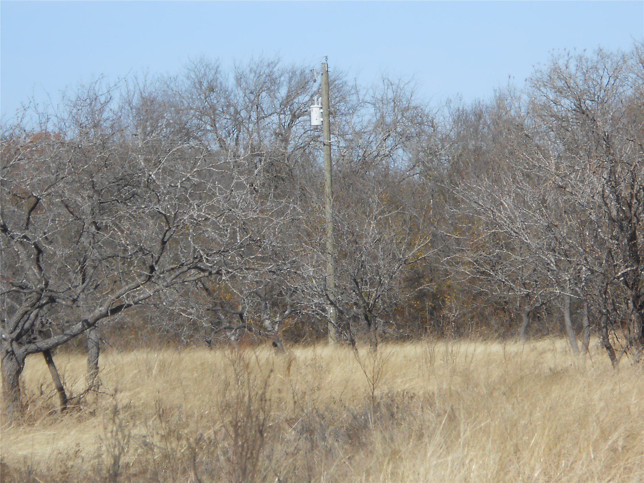 117 Pr 354 N Hubbard TX 76648