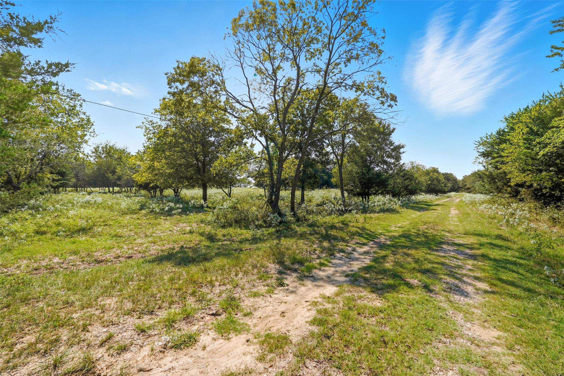 3855 County Road 3410 Lone Oak TX 75453