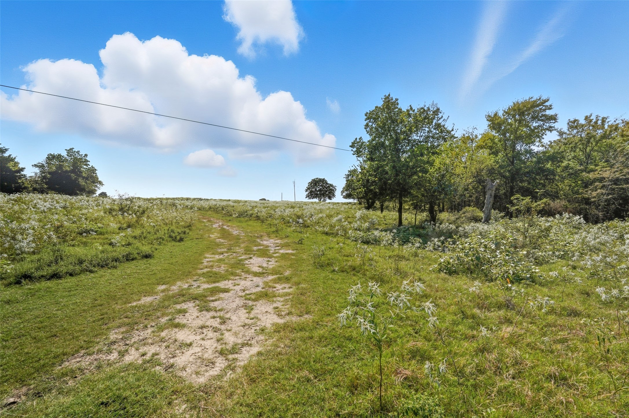 3855 County Road 3410 Lone Oak TX 75453